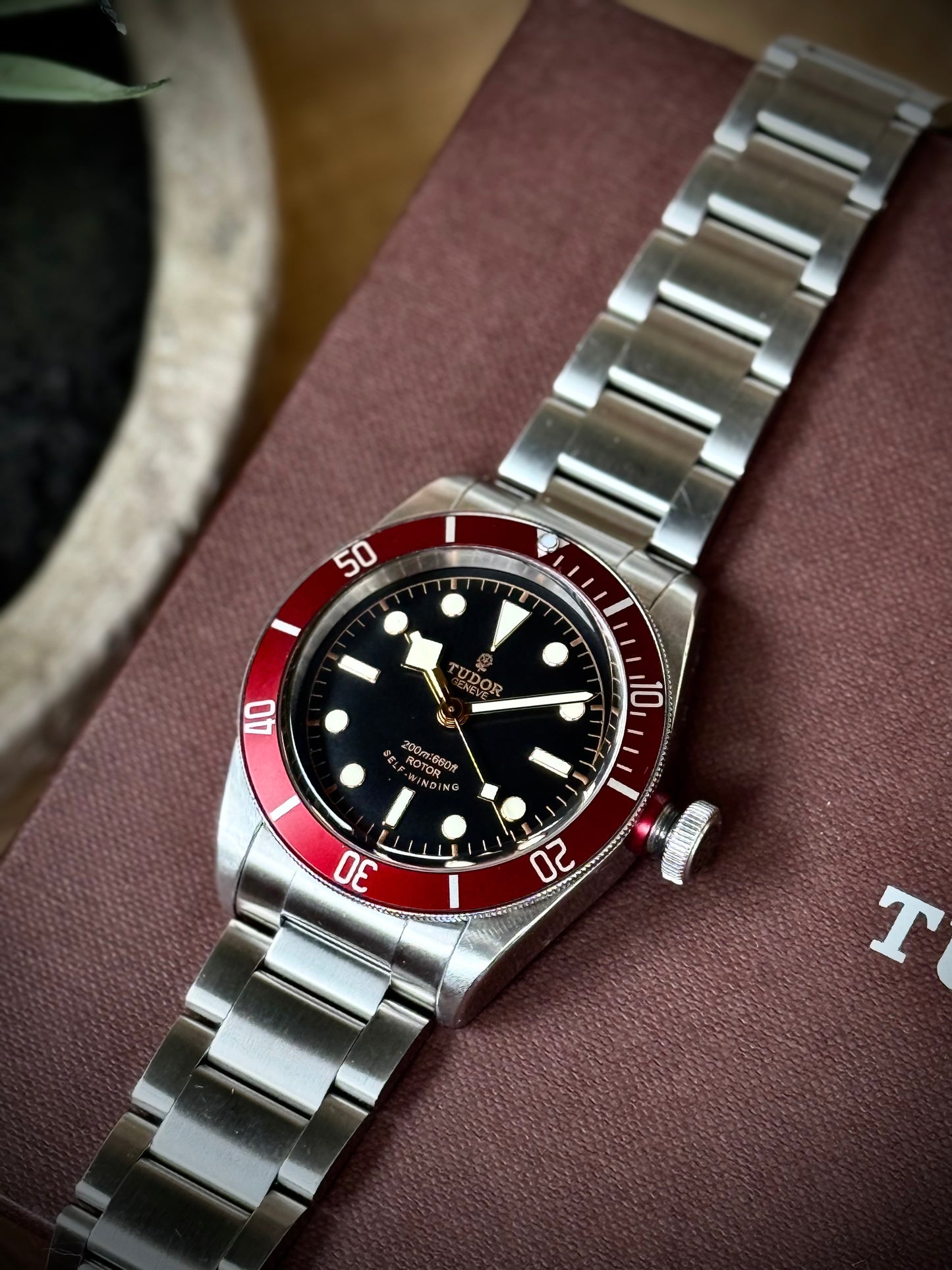 Tudor Black Bay Rosellina