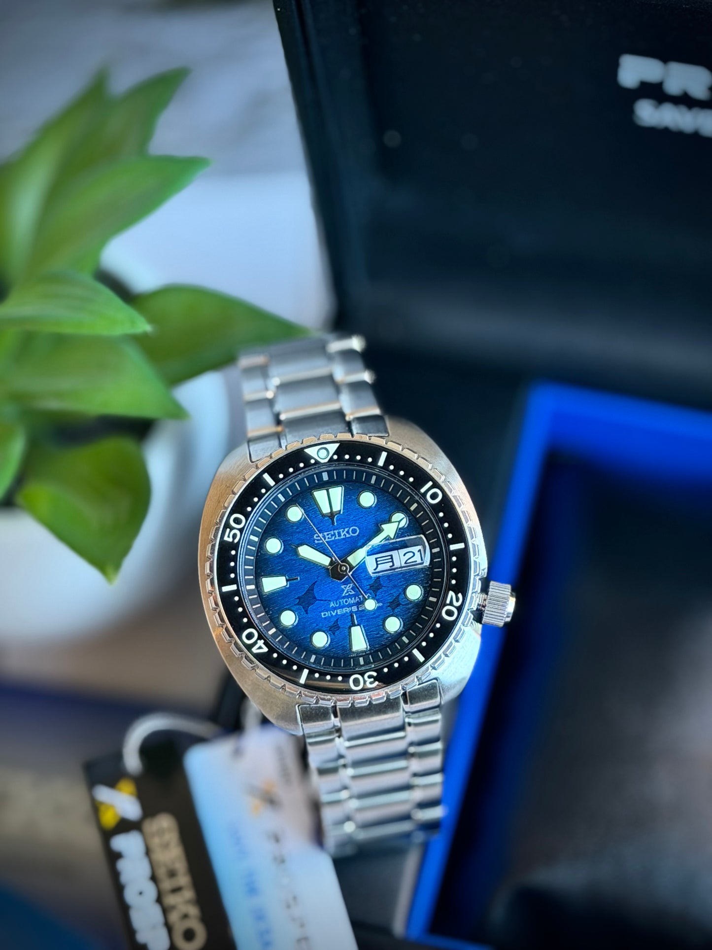 Seiko Turtle Manta Ray