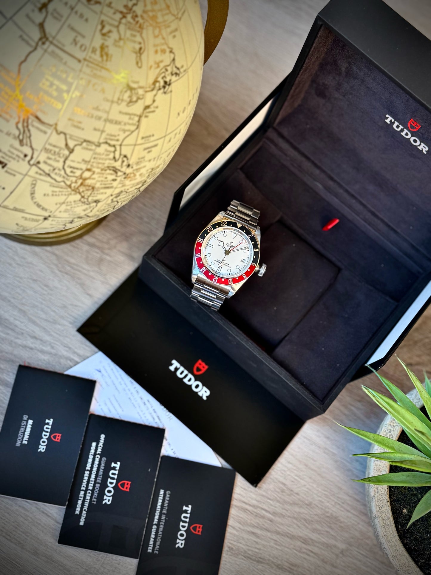 Tudor Black Bay GMT Albino