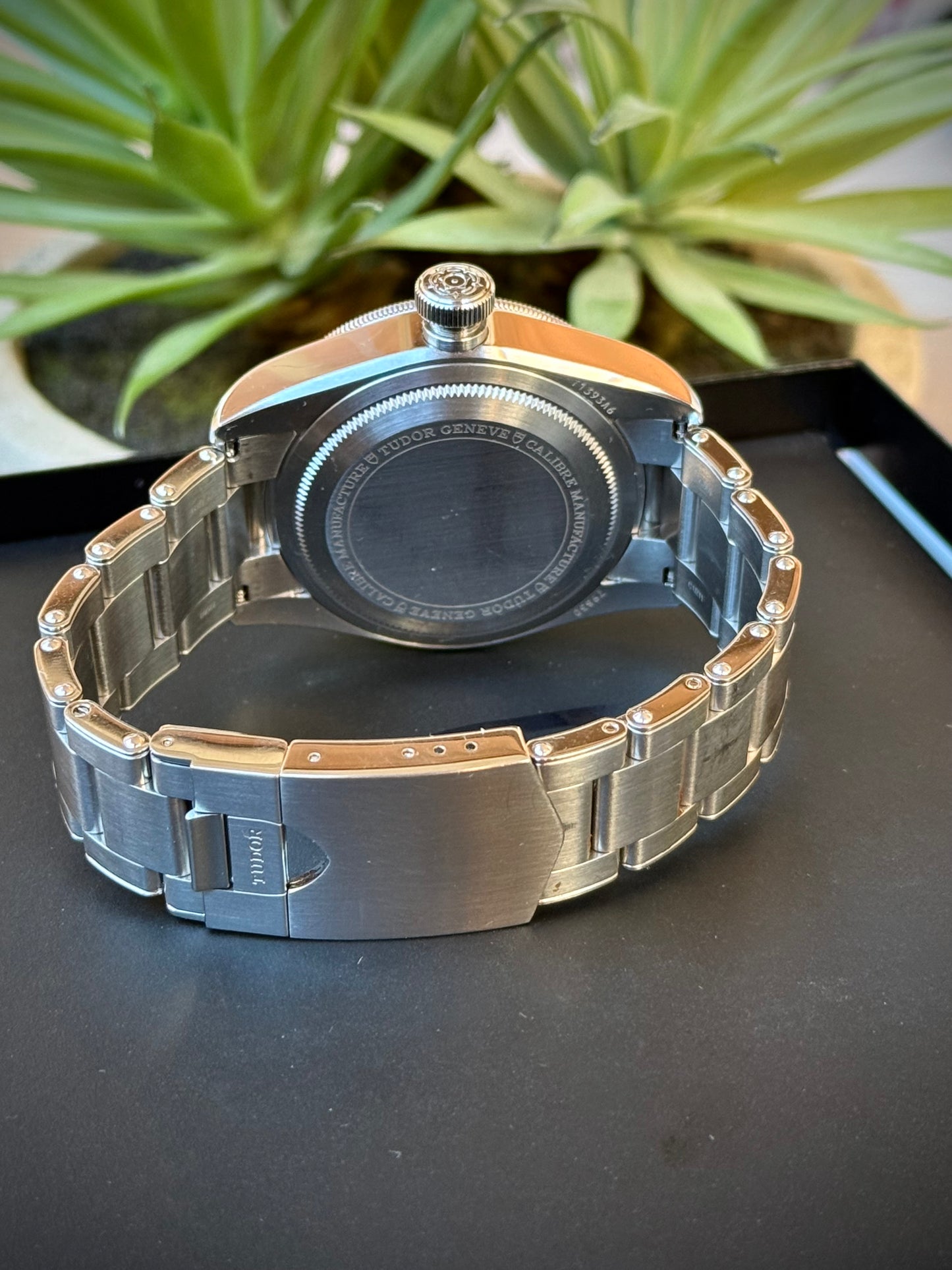 Tudor Black Bay GMT Albino