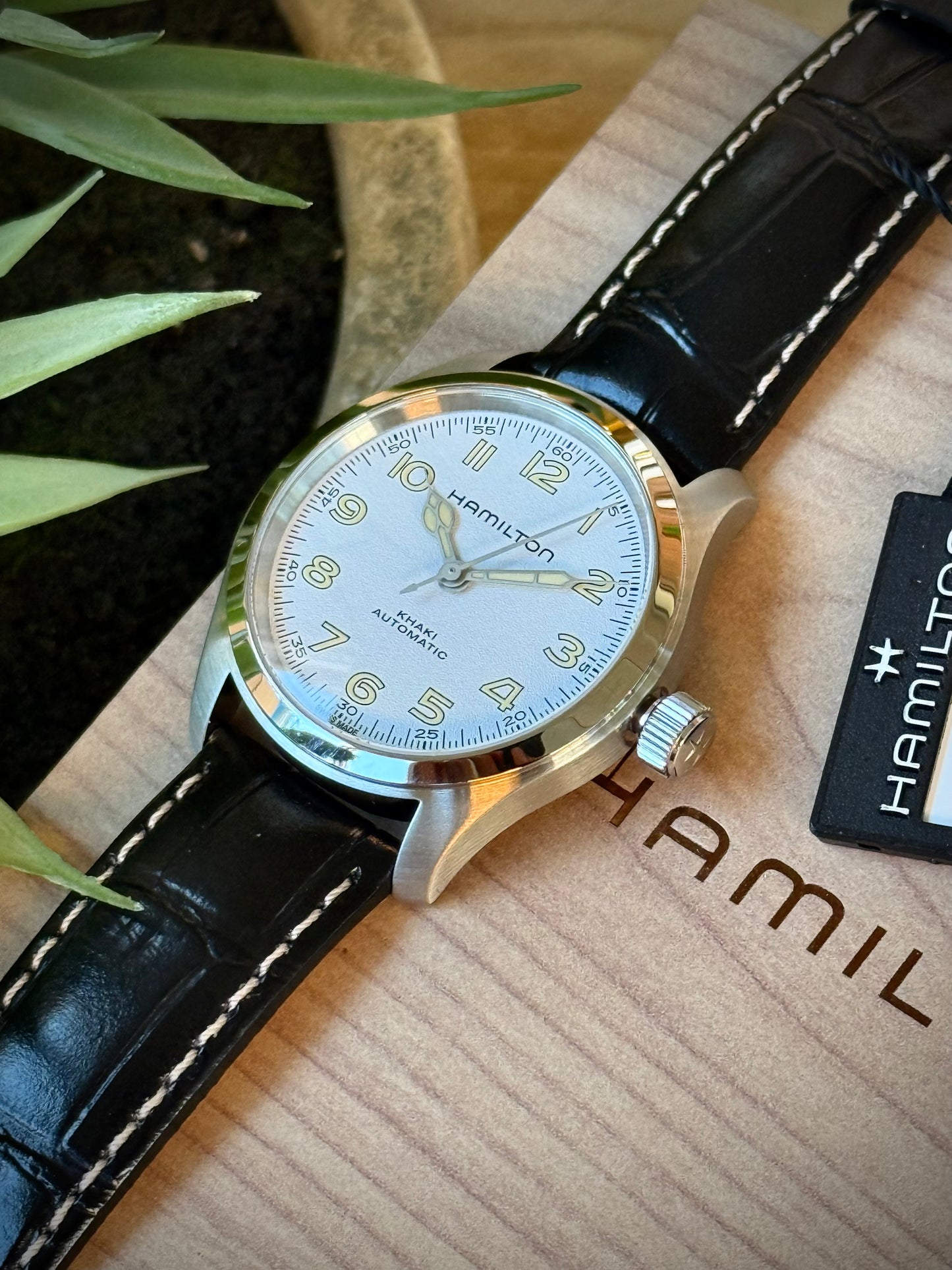 Hamilton Murph White 38mm