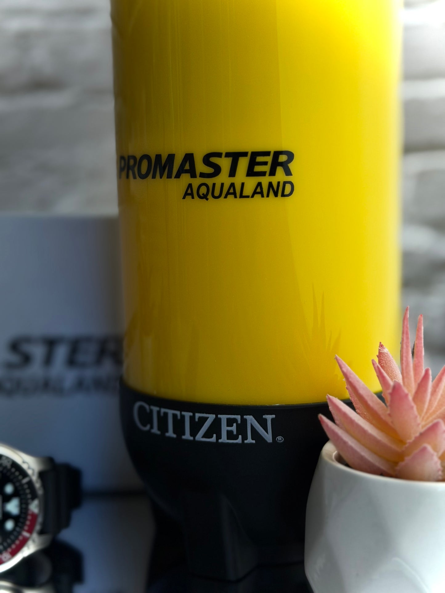 Citizen Promaster