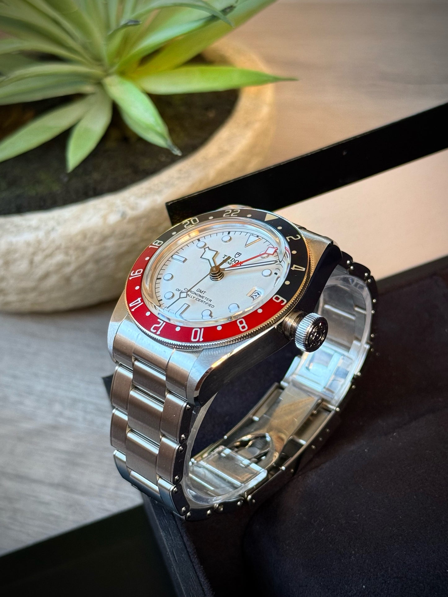 Tudor Black Bay GMT Albino
