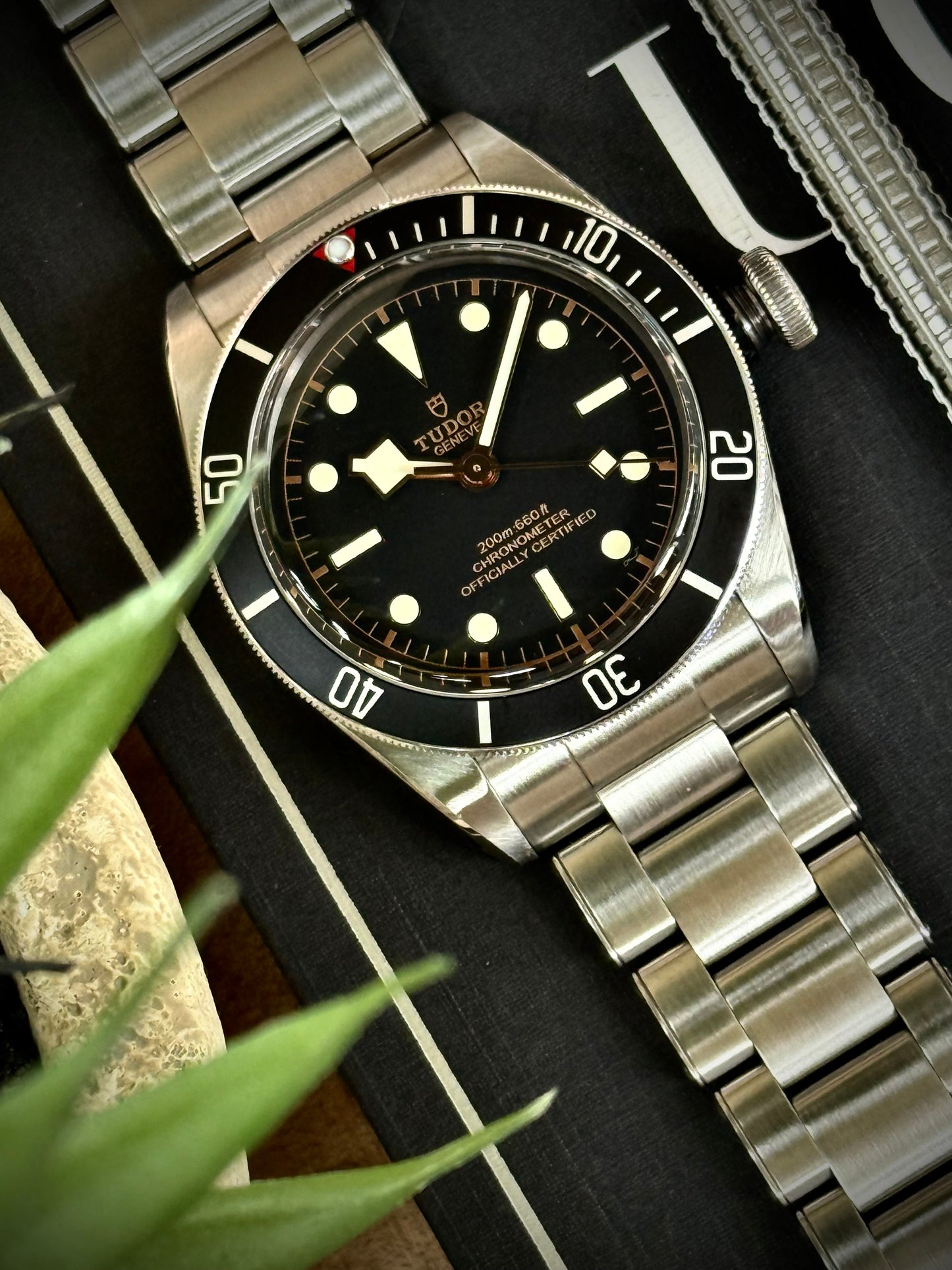 Tudor Black Bay 41 mm