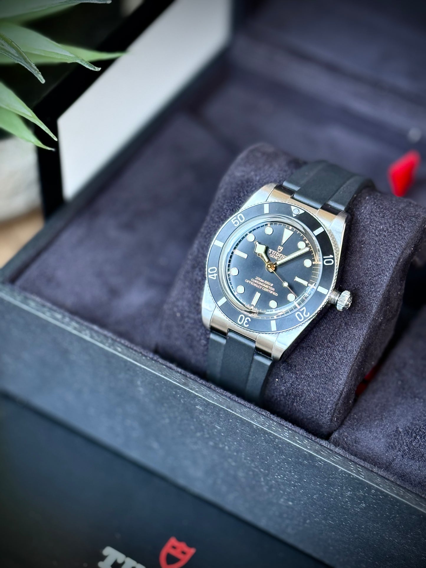 Tudor Black Bay 54