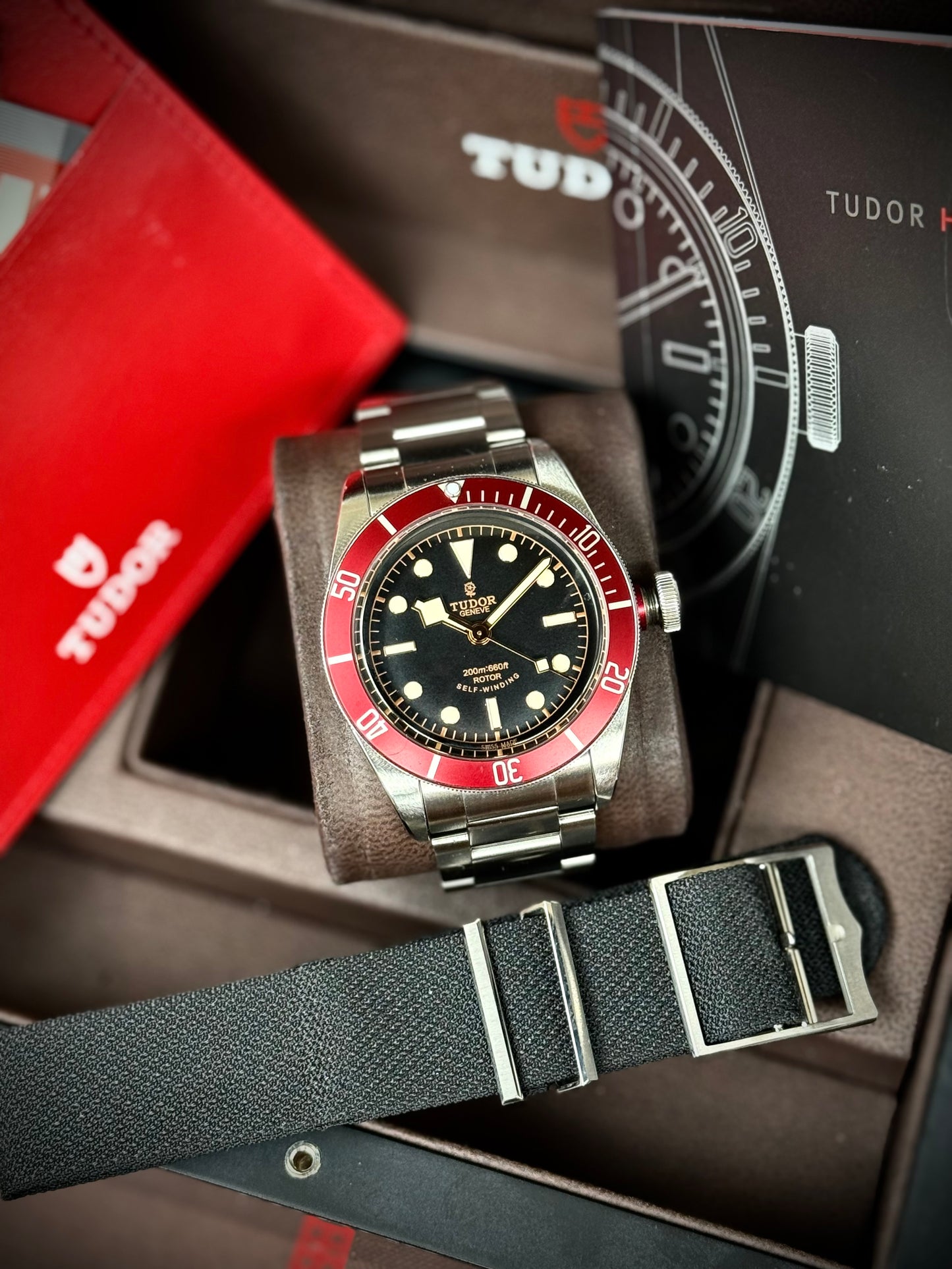 Tudor Black Bay Rosellina