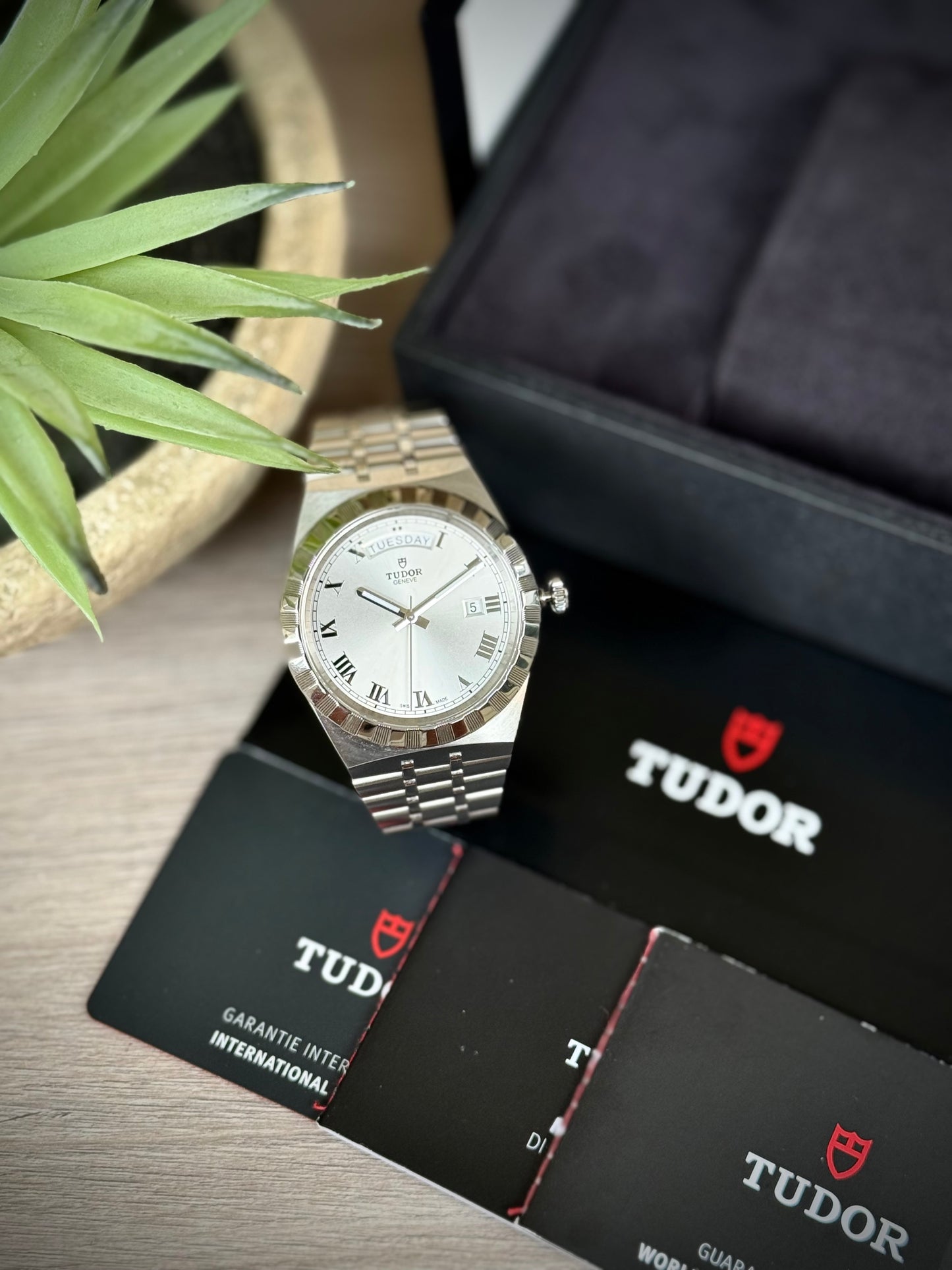 Tudor Royal