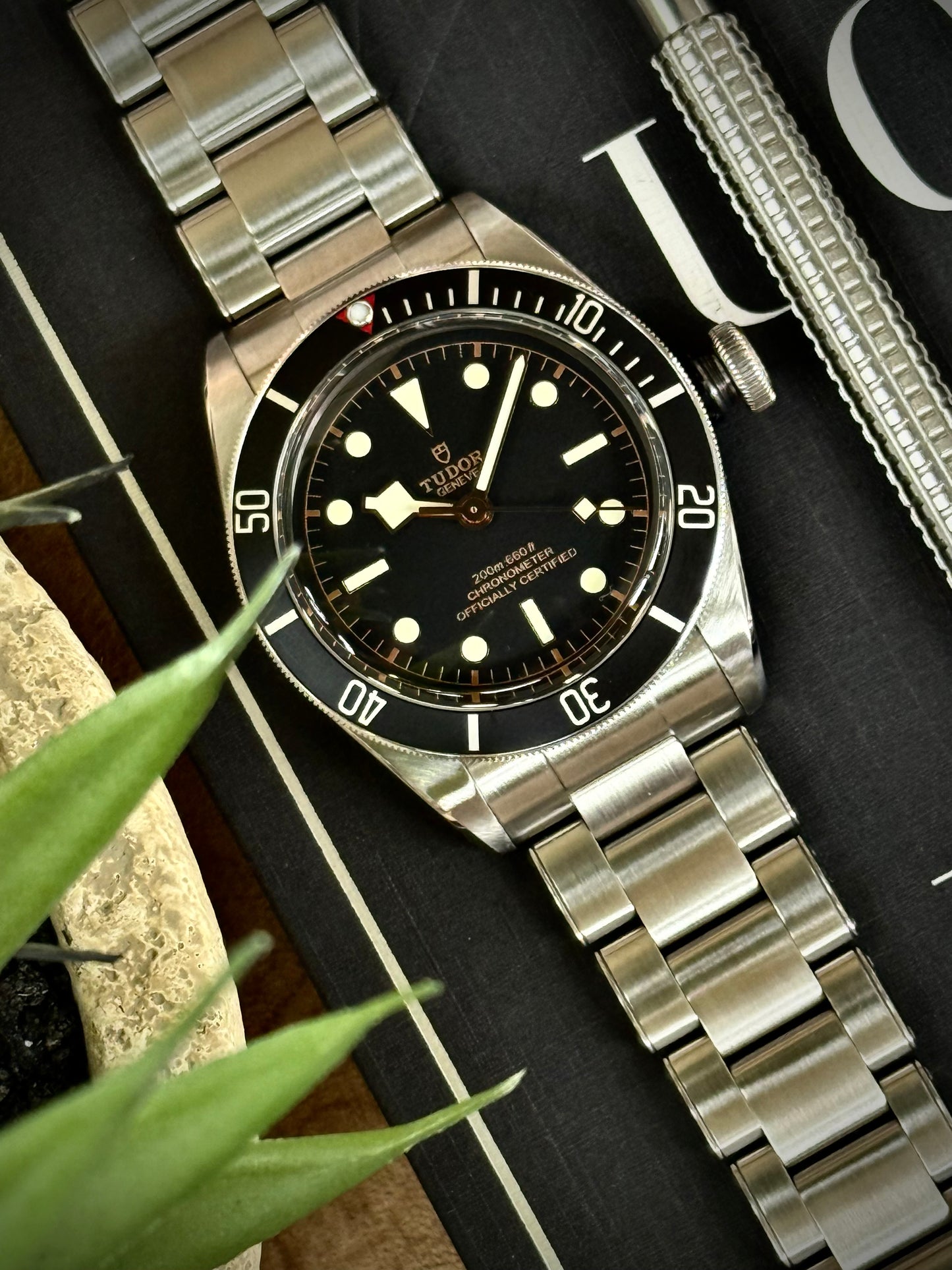 Tudor Black Bay 41 mm