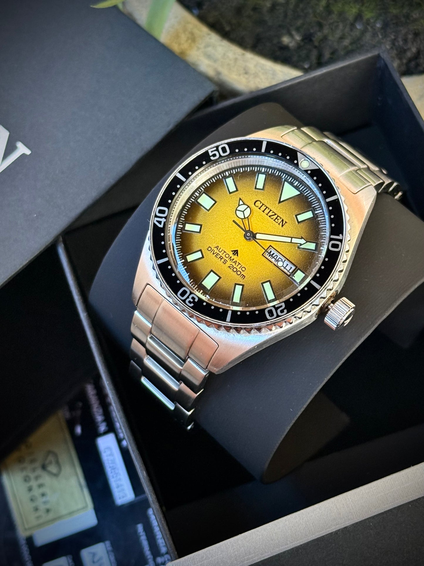 Citizen Promaster