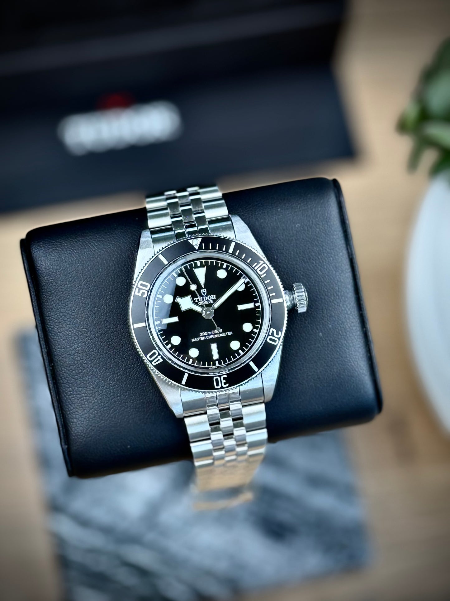 Tudor Black Bay