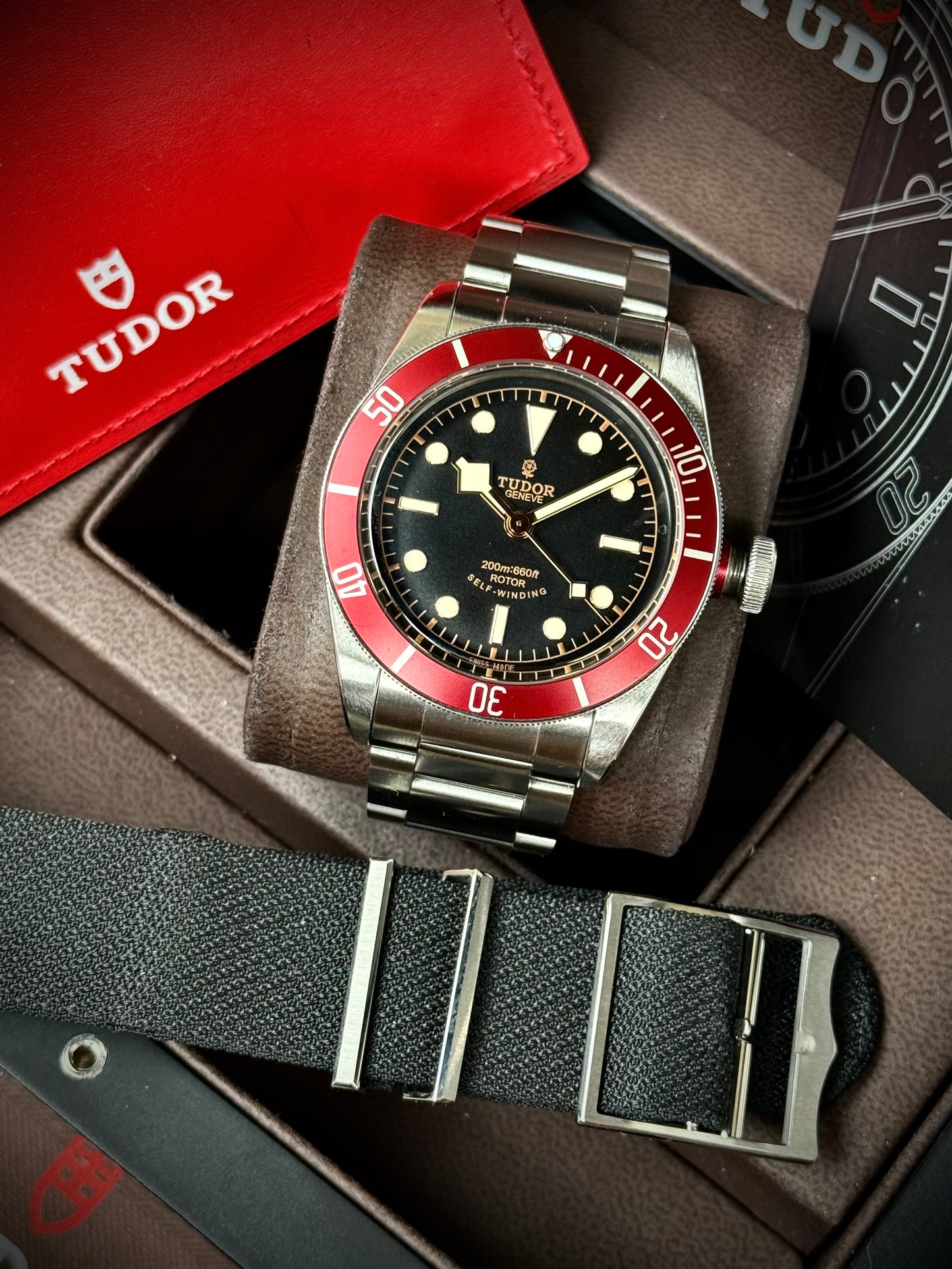 Tudor Black Bay Rosellina