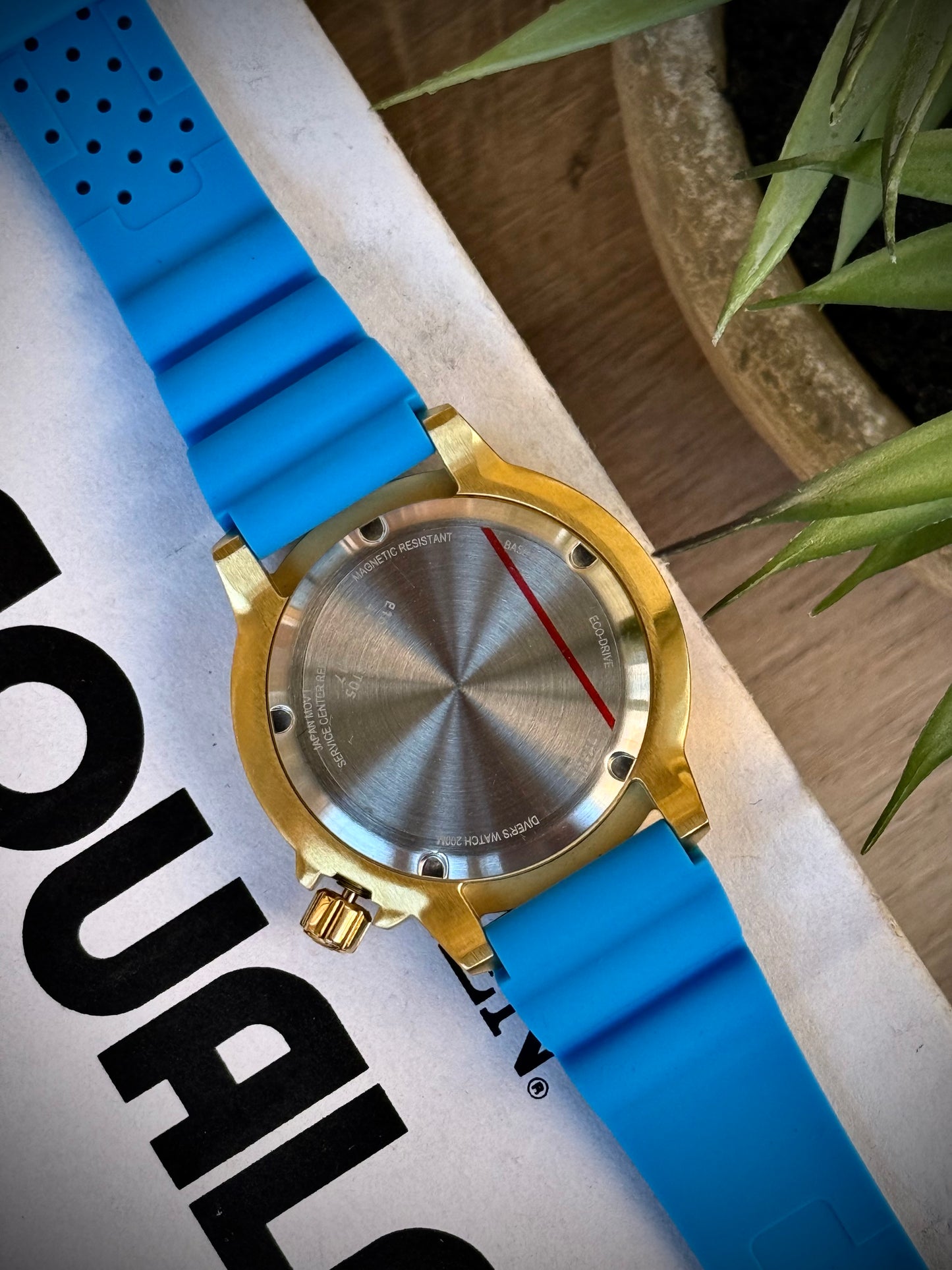 Citizen Promaster