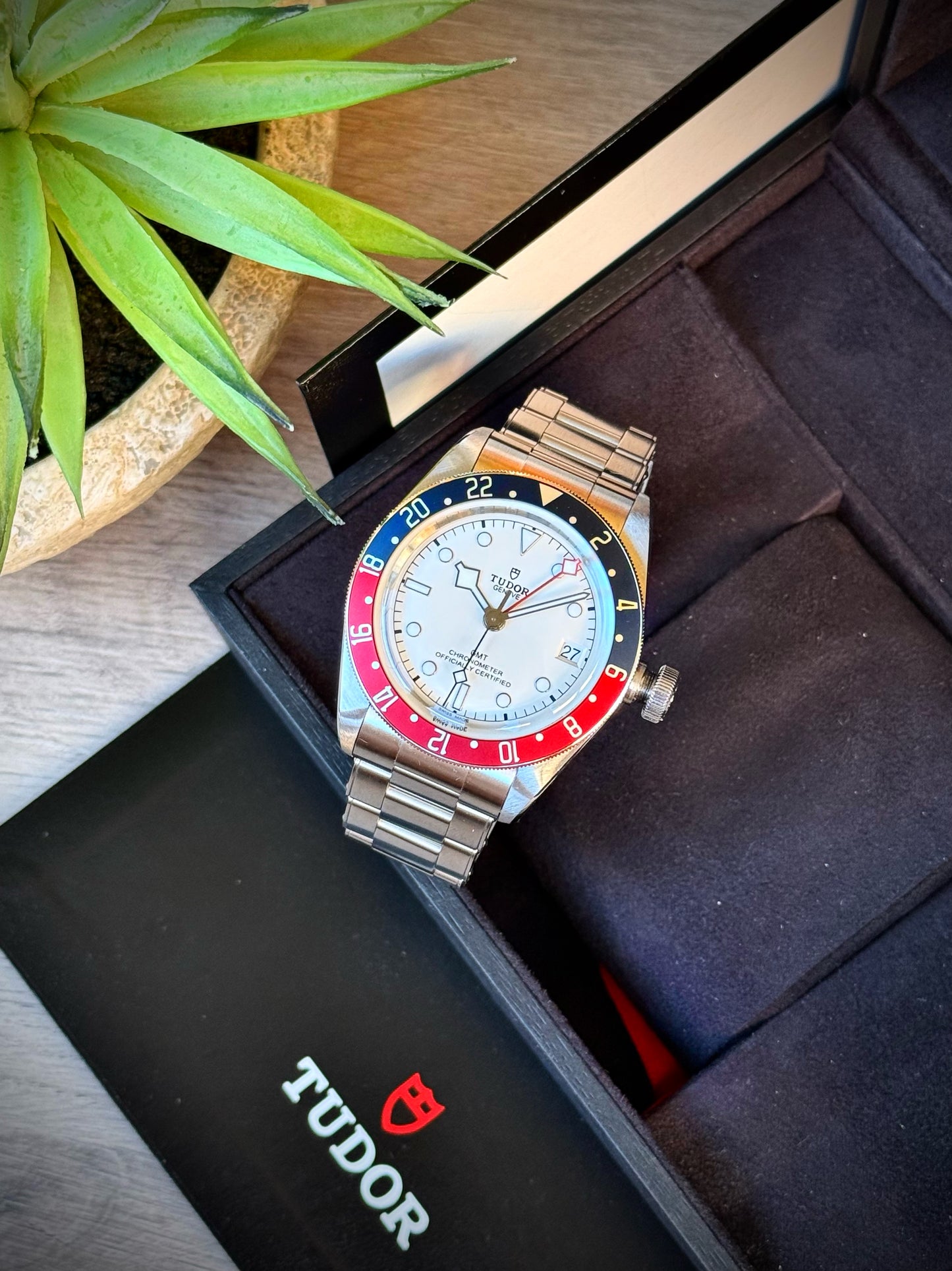Tudor Black Bay GMT Albino