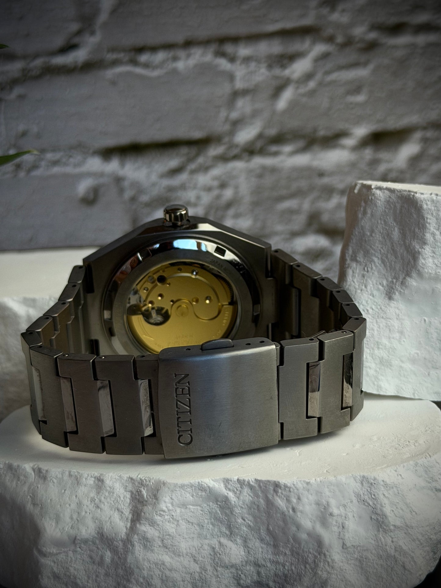 Citizen Zenshin
