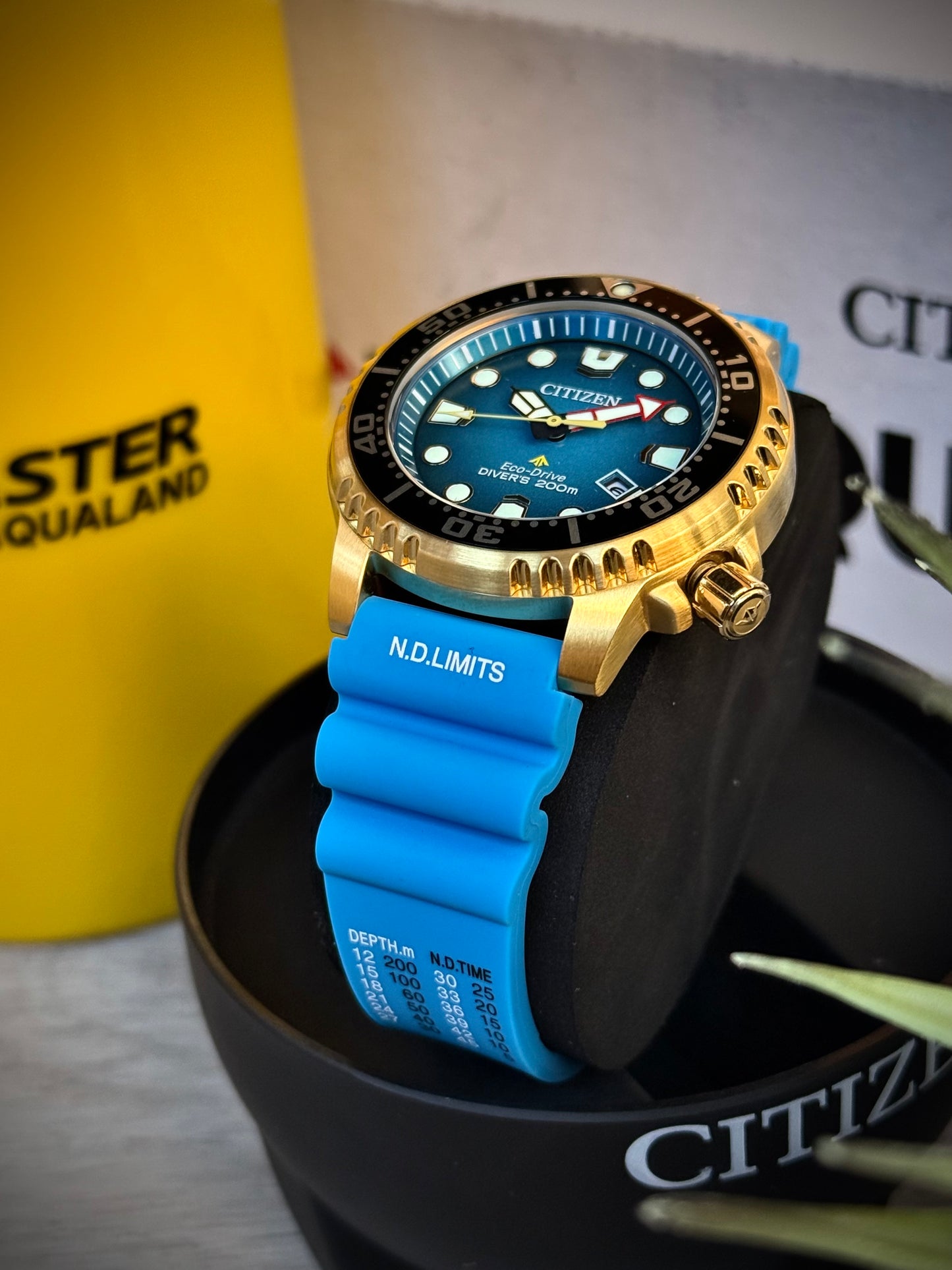 Citizen Promaster