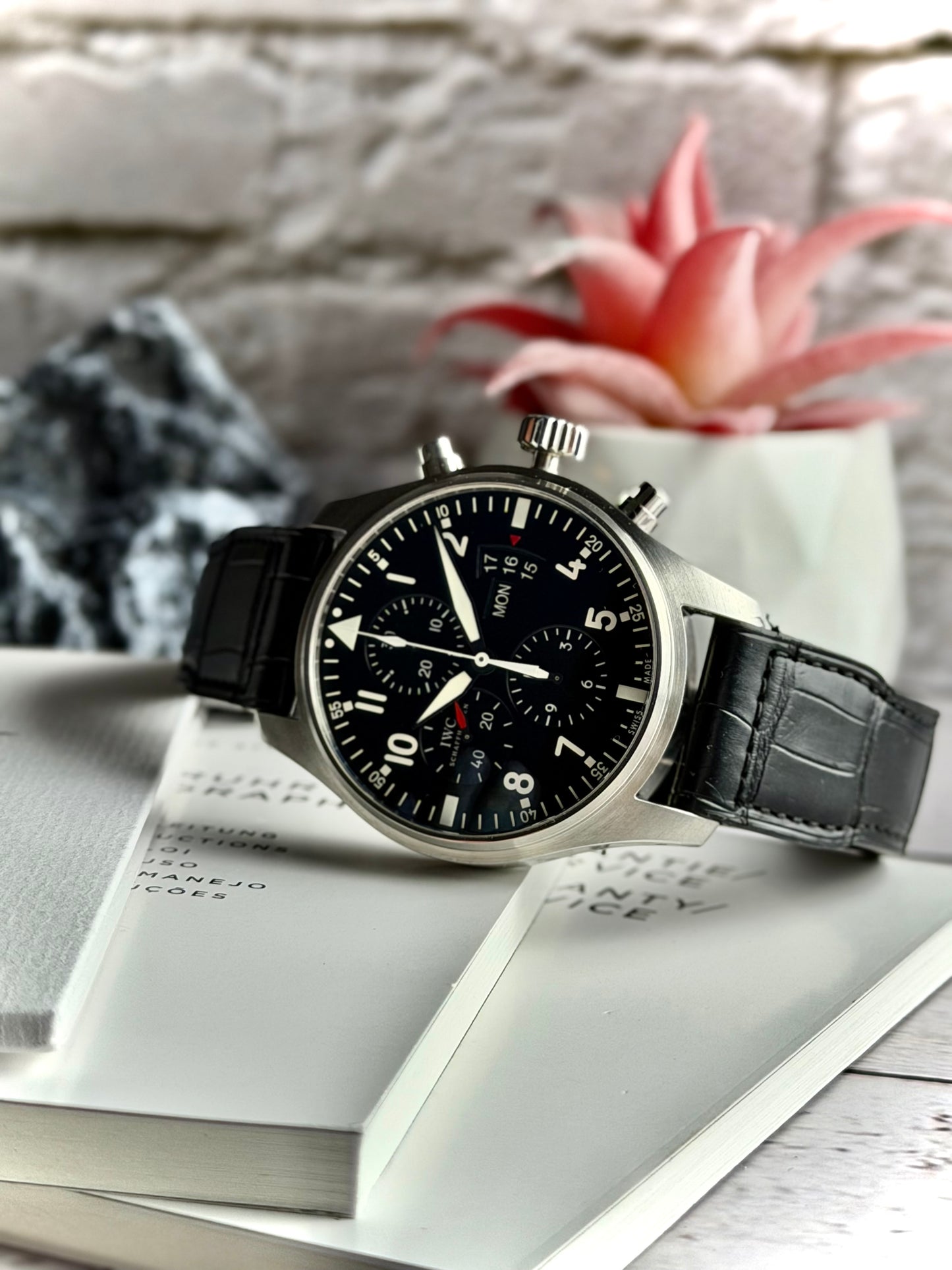 IWC Pilot