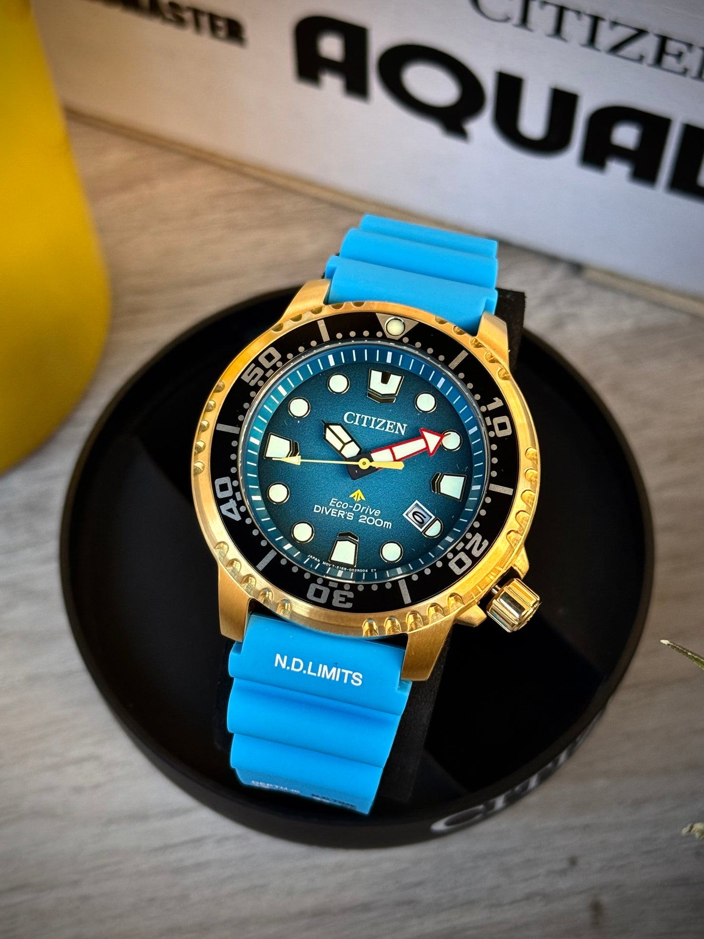 Citizen Promaster