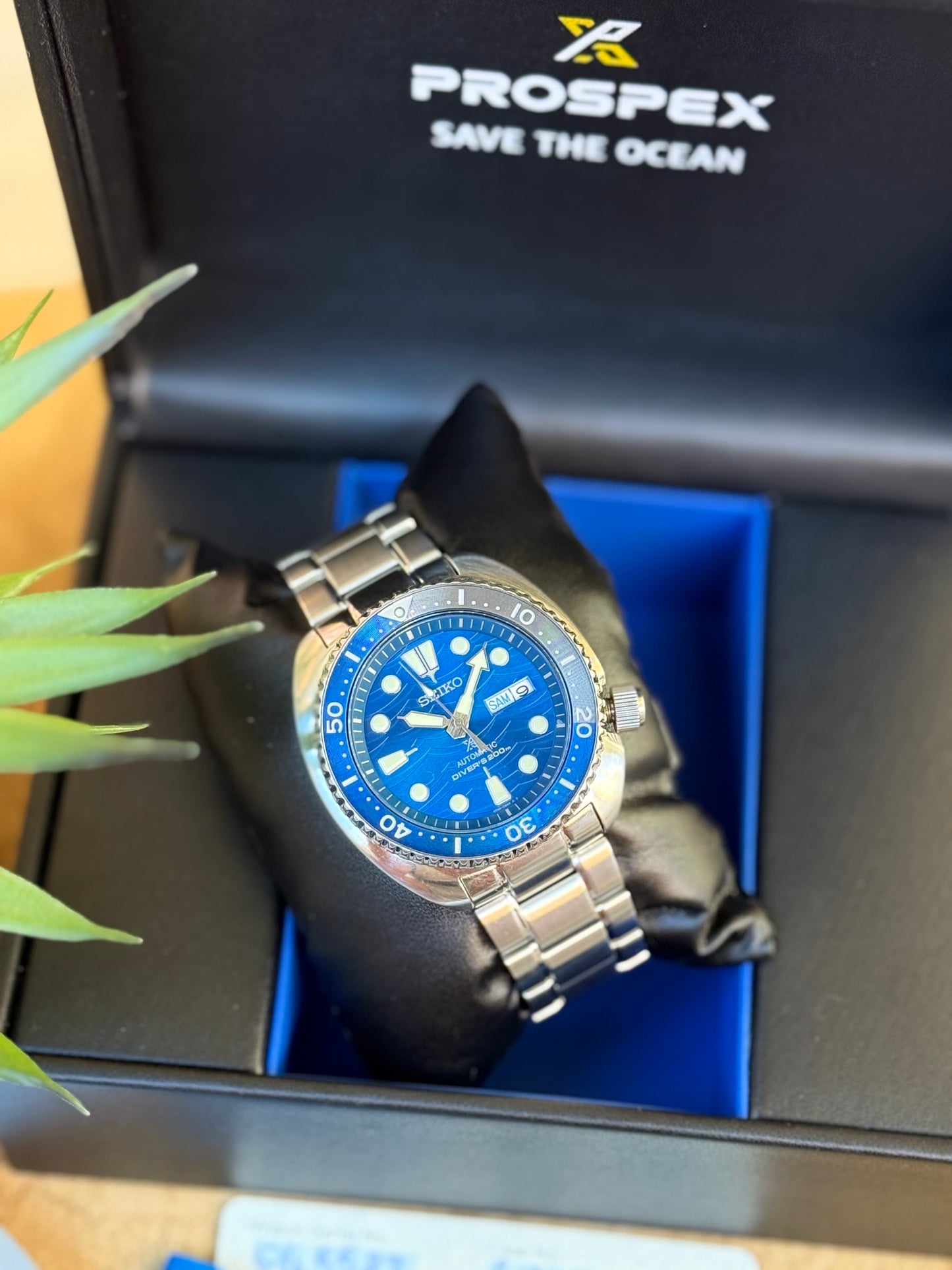 Seiko Turtle