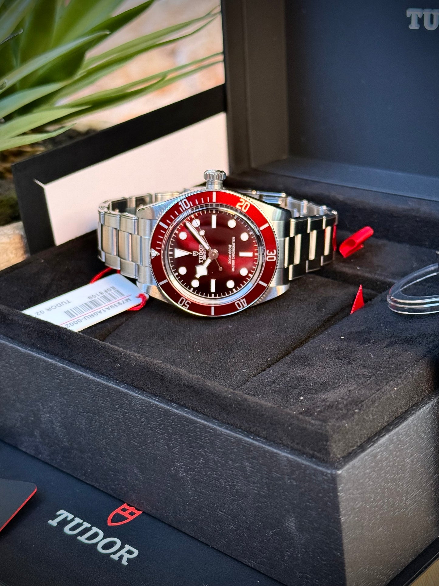 Tudor Black Bay 58 Burgundi