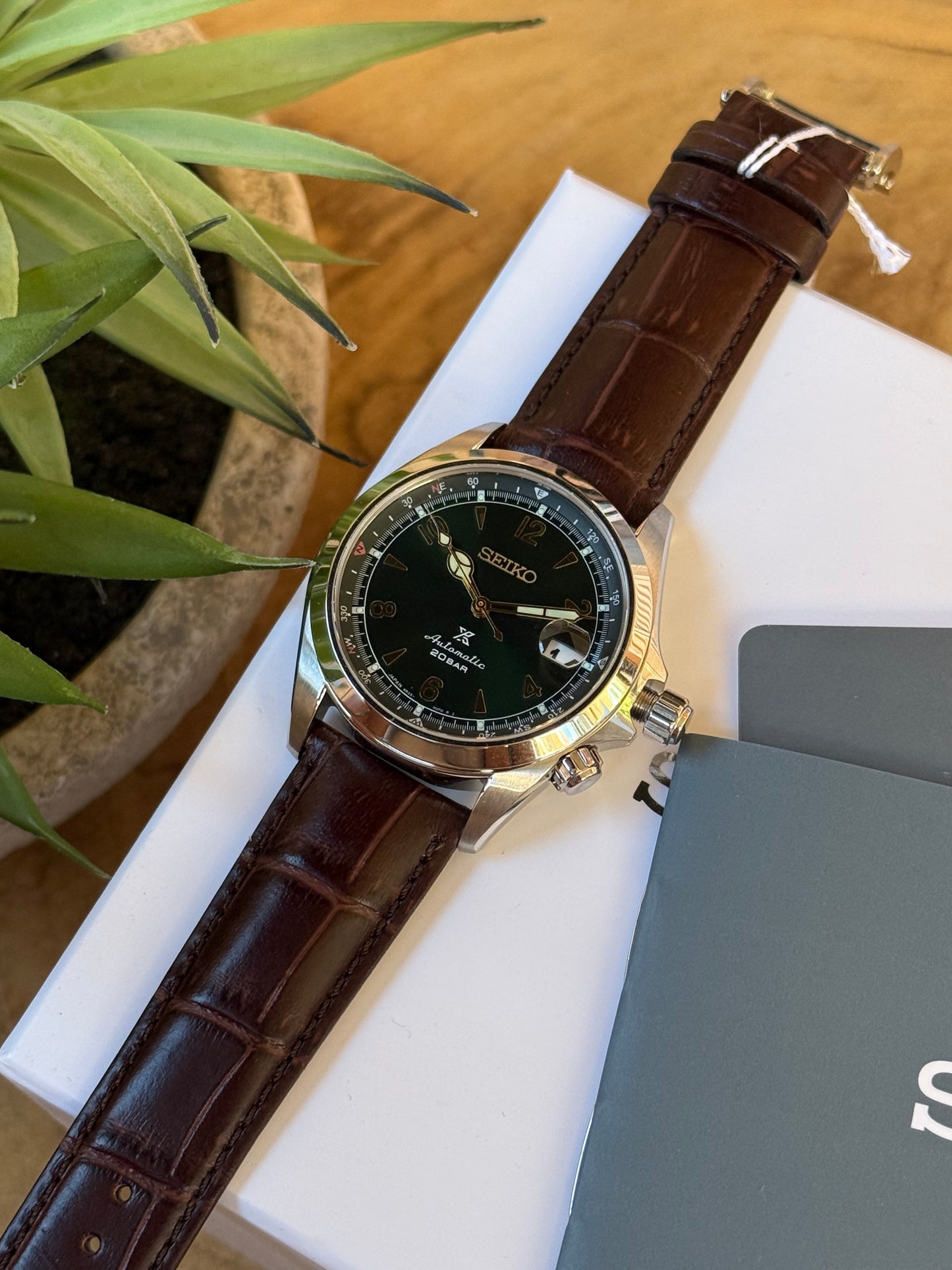 Seiko Alpinist