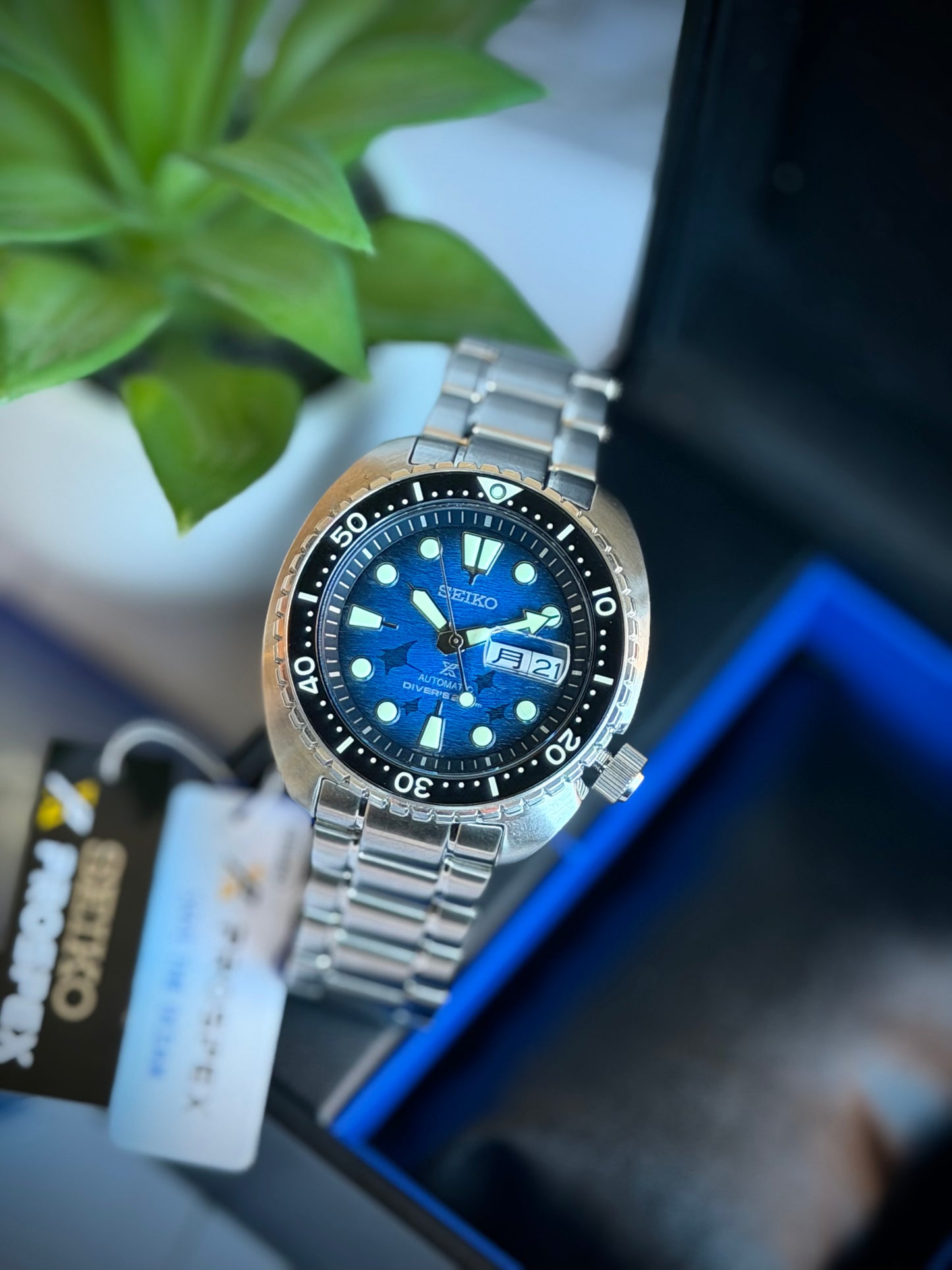 Seiko Turtle Manta Ray