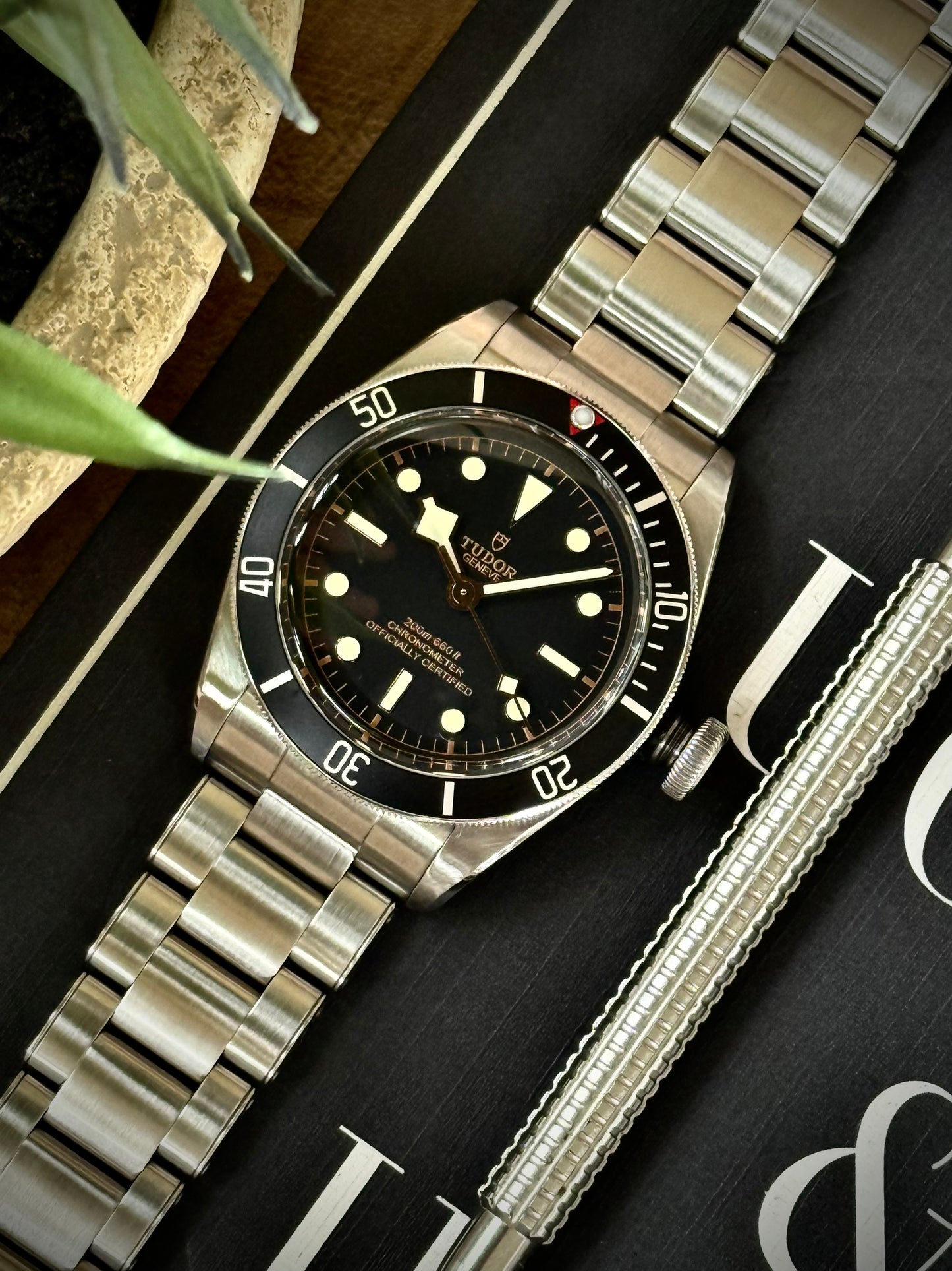 Tudor Black Bay 41 mm