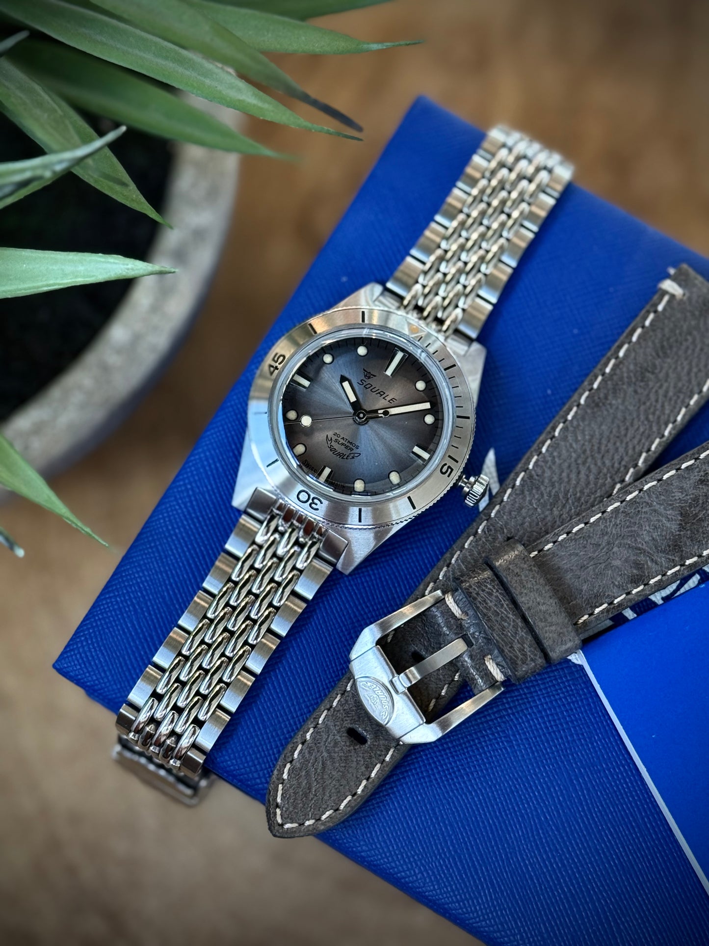 Super Squale Sunray