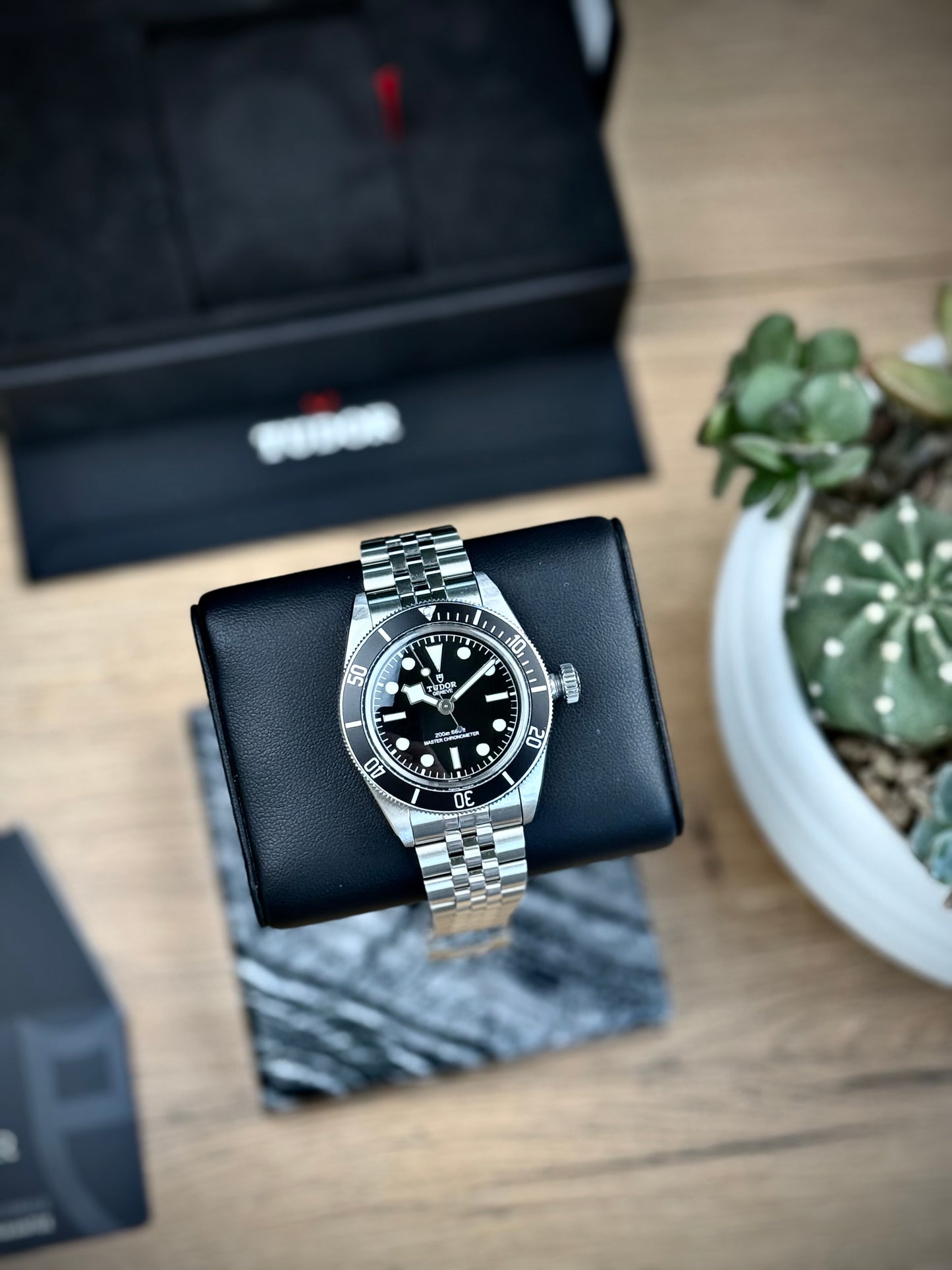 Tudor Black Bay