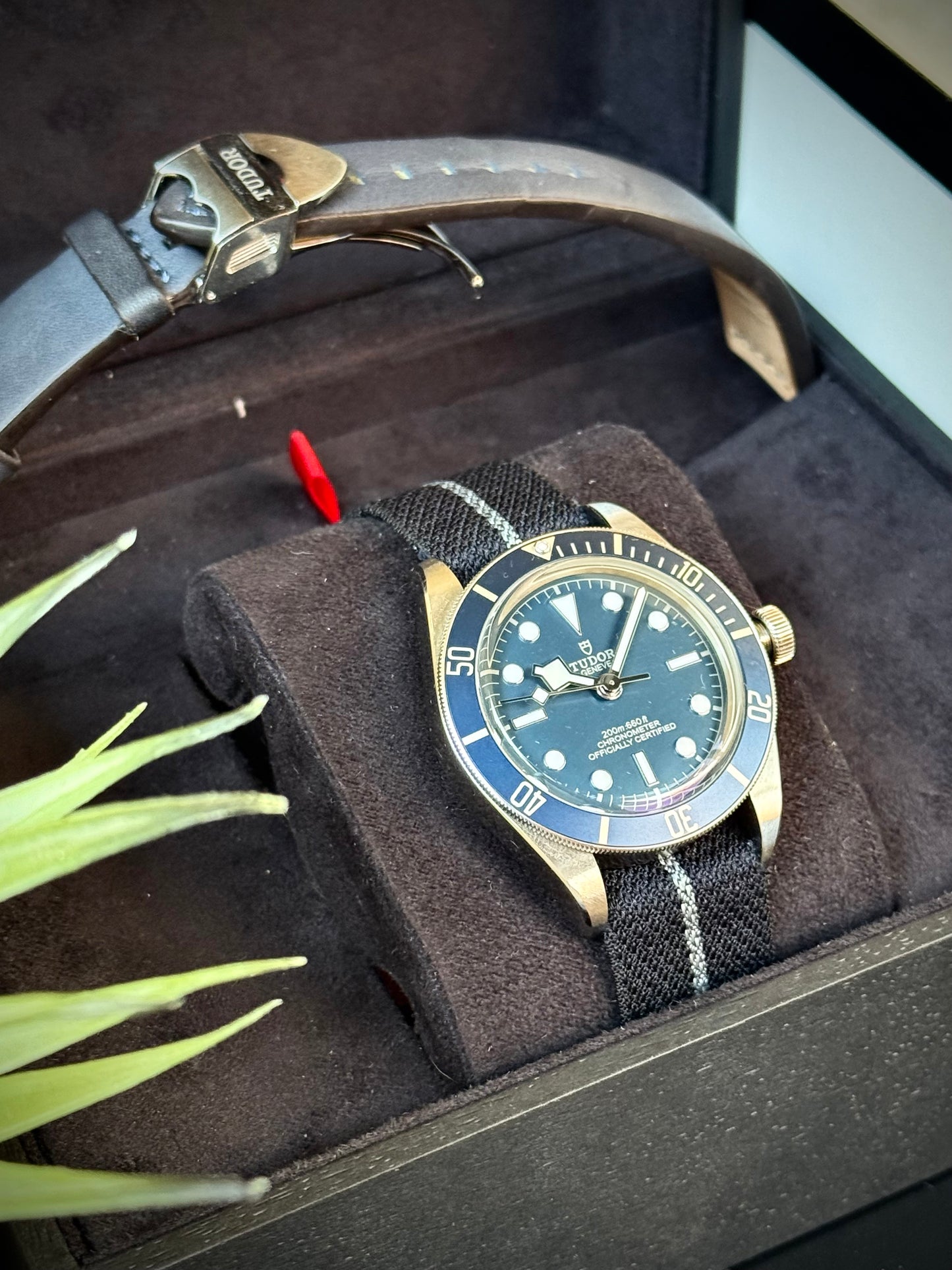 Tudor Black Bay 58