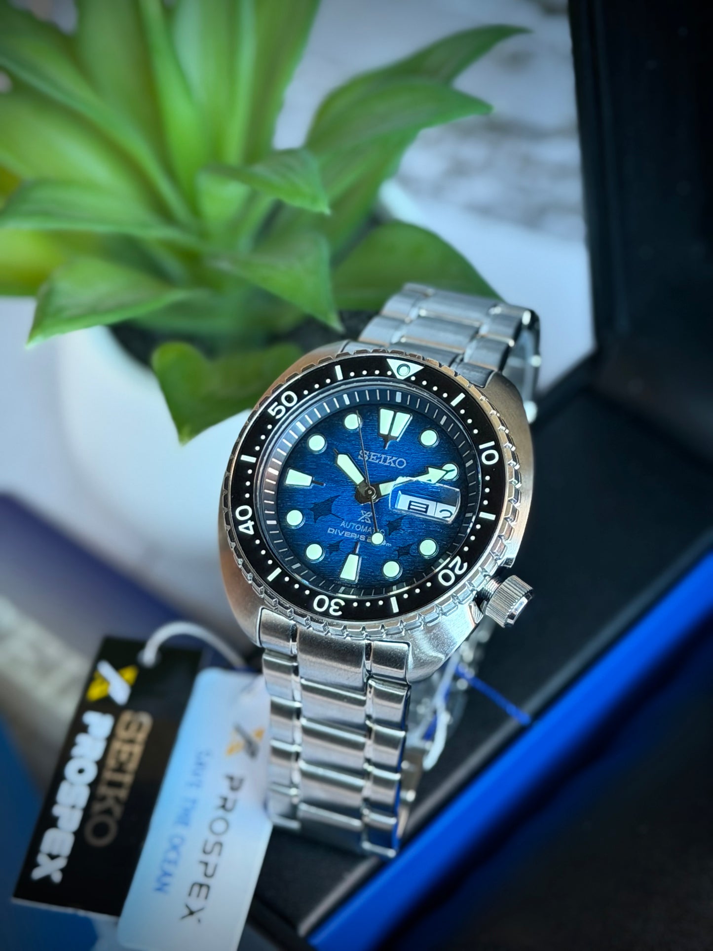 Seiko Turtle Manta Ray
