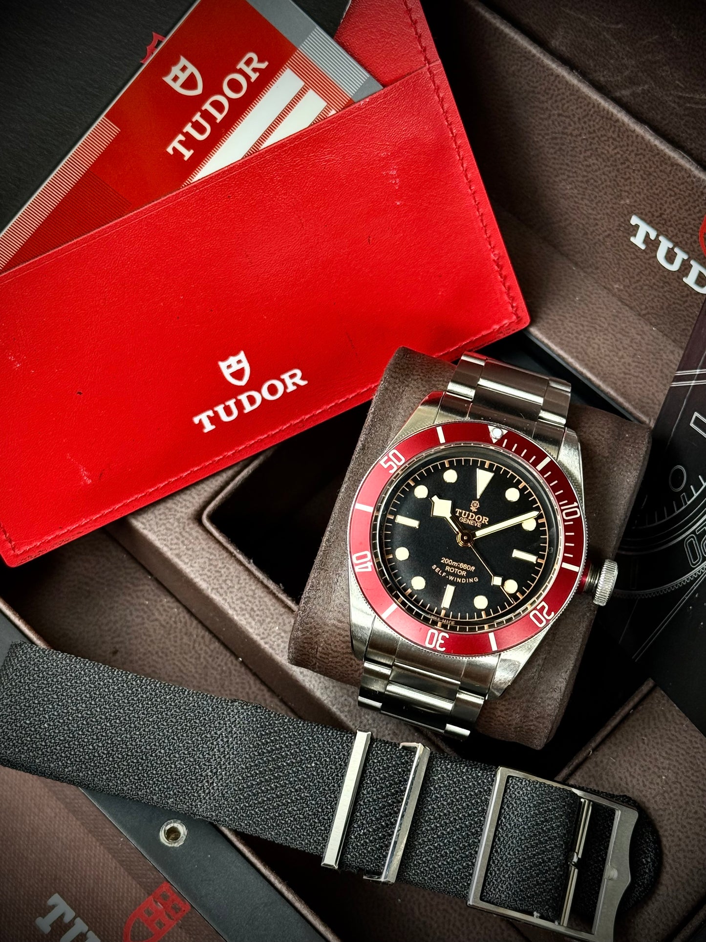 Tudor Black Bay Rosellina