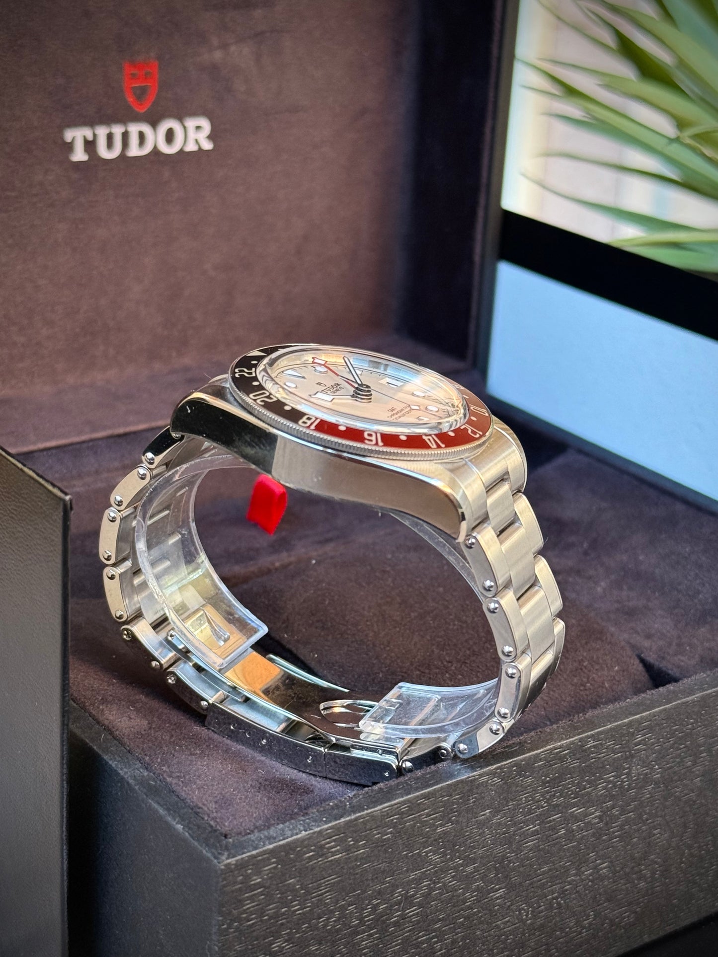 Tudor Black Bay GMT Albino