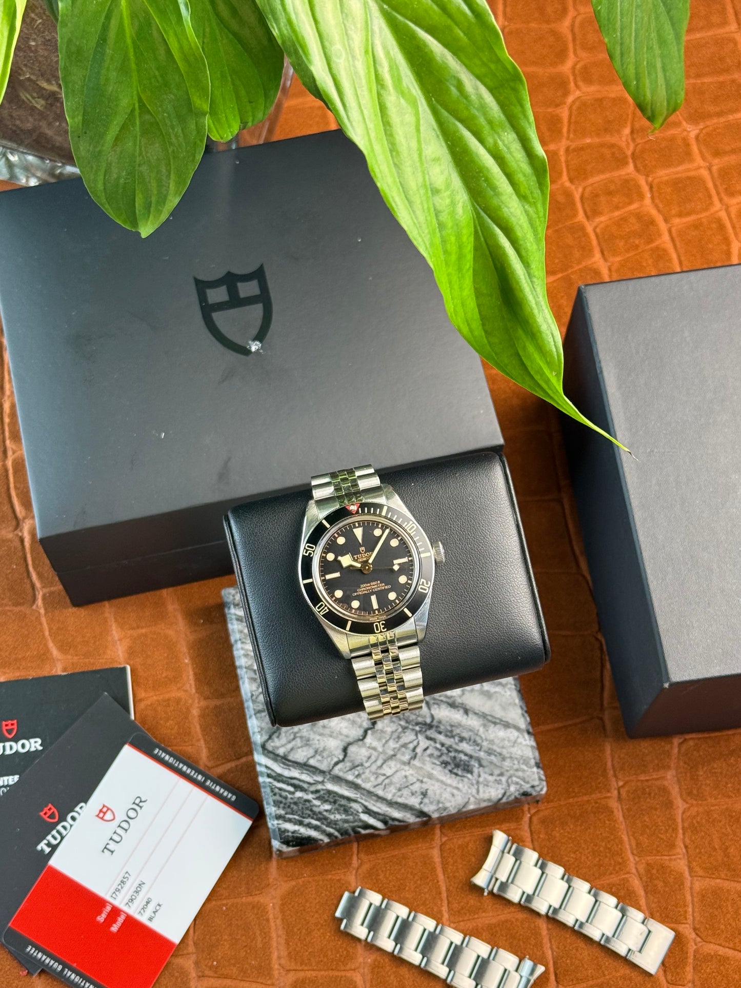 Tudor Black Bay 58 doppio bracciale