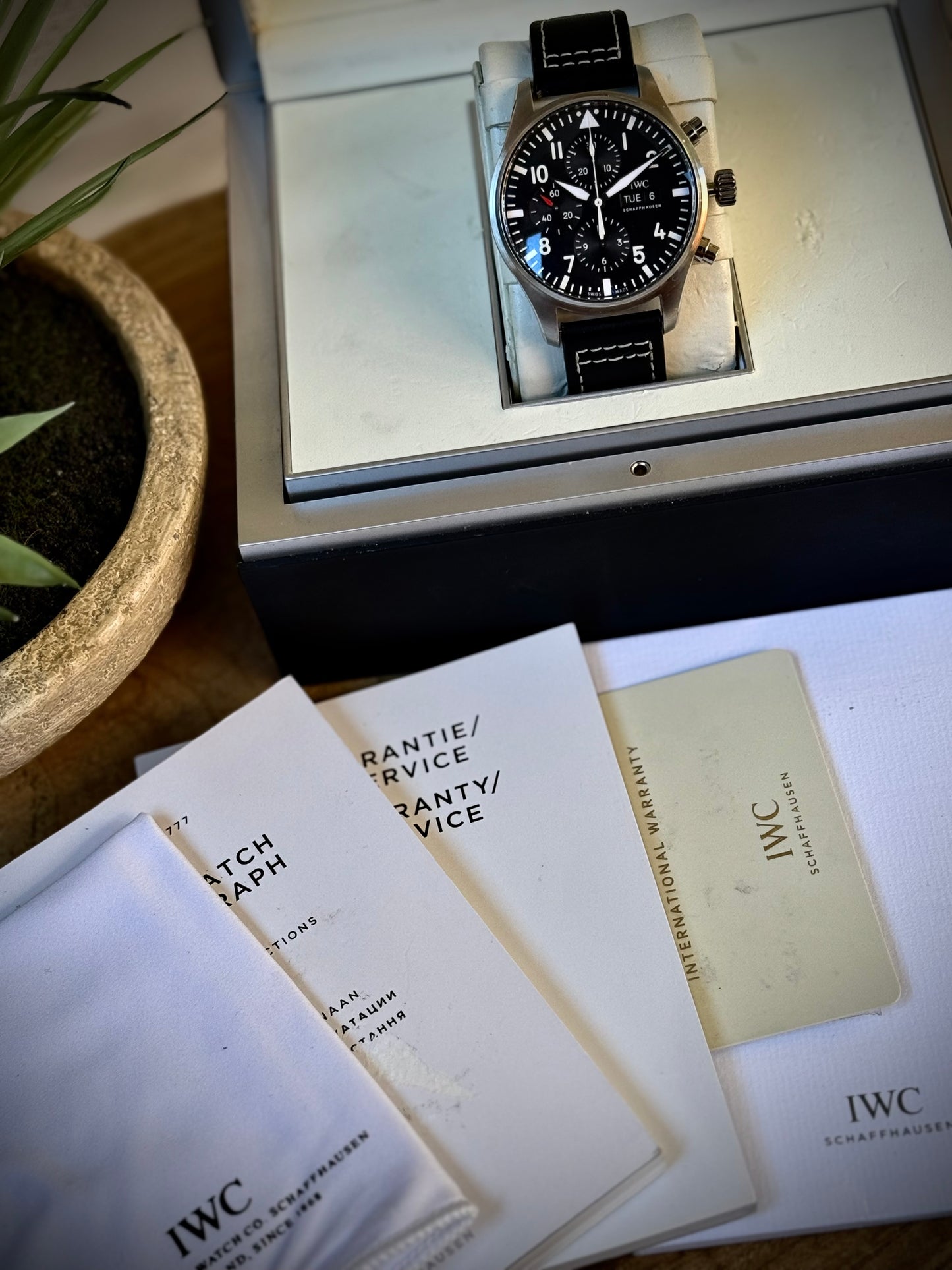 IWC Pilot