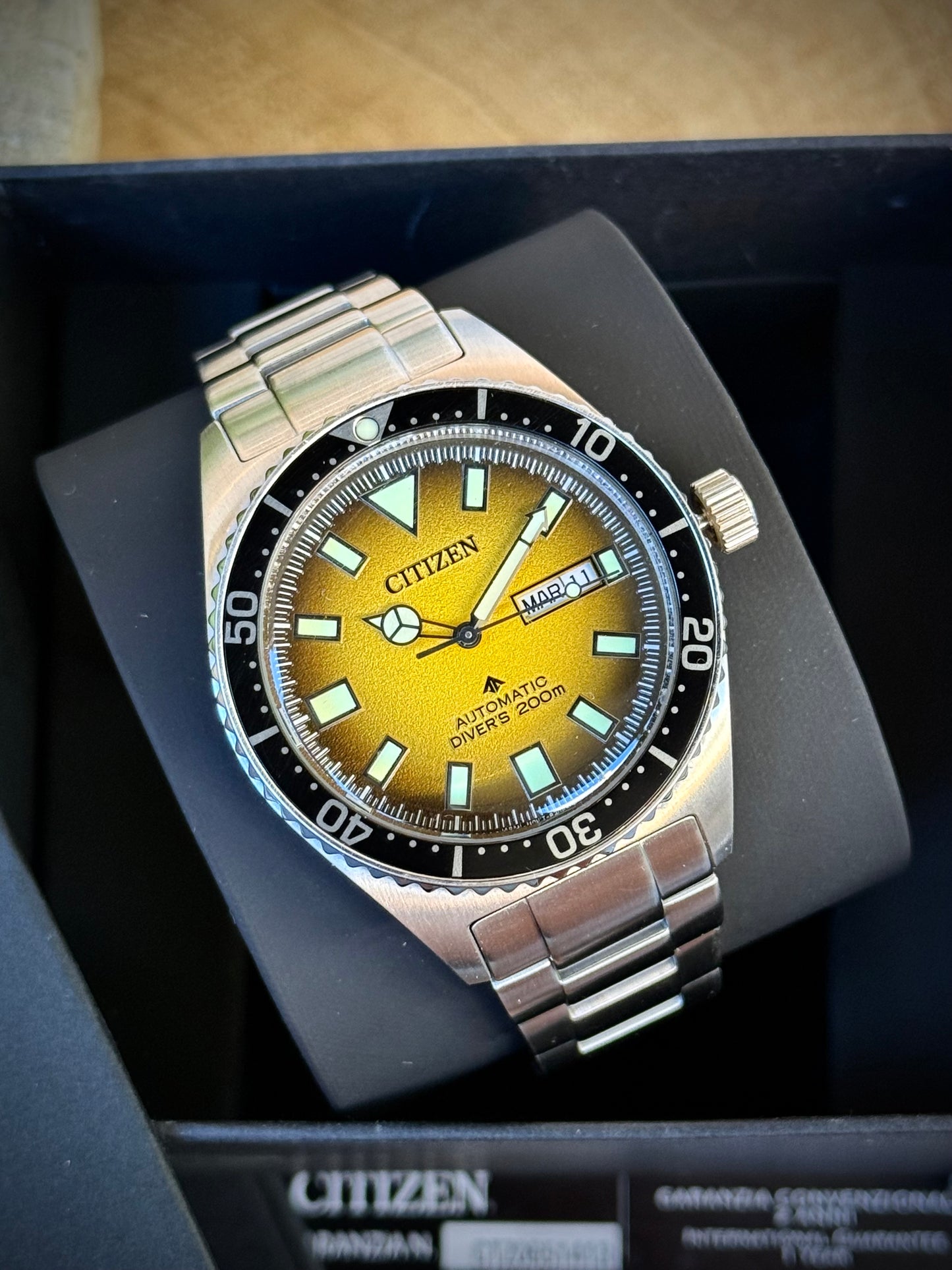 Citizen Promaster