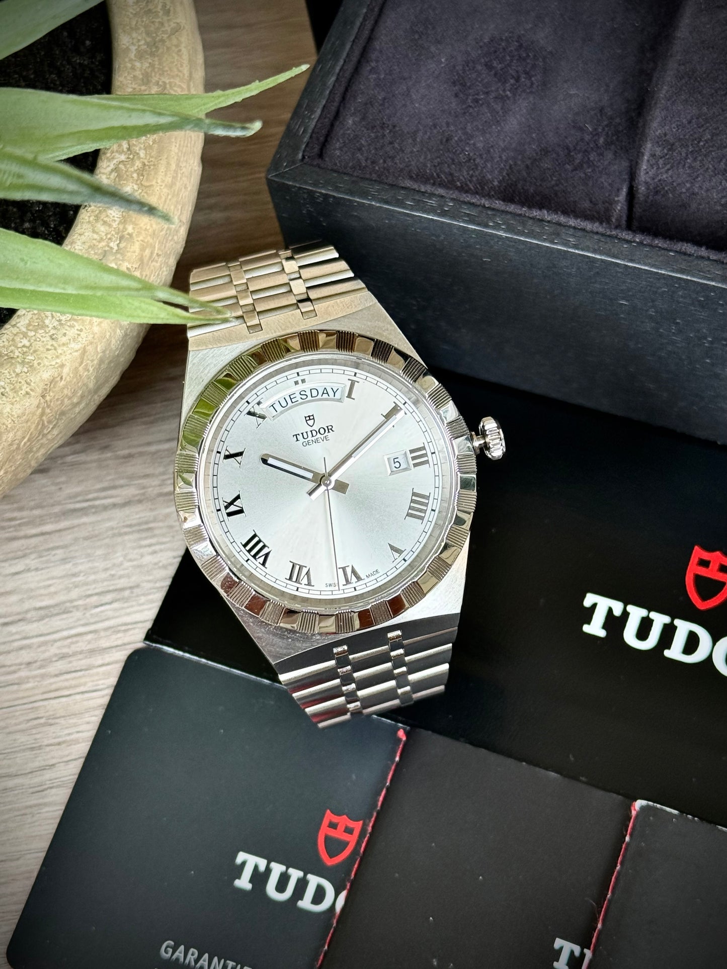 Tudor Royal