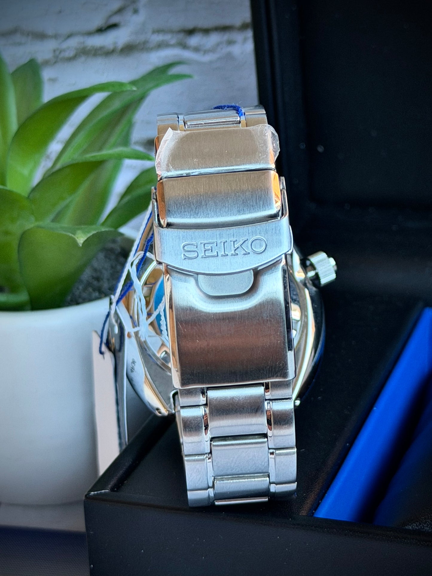 Seiko Turtle Manta Ray