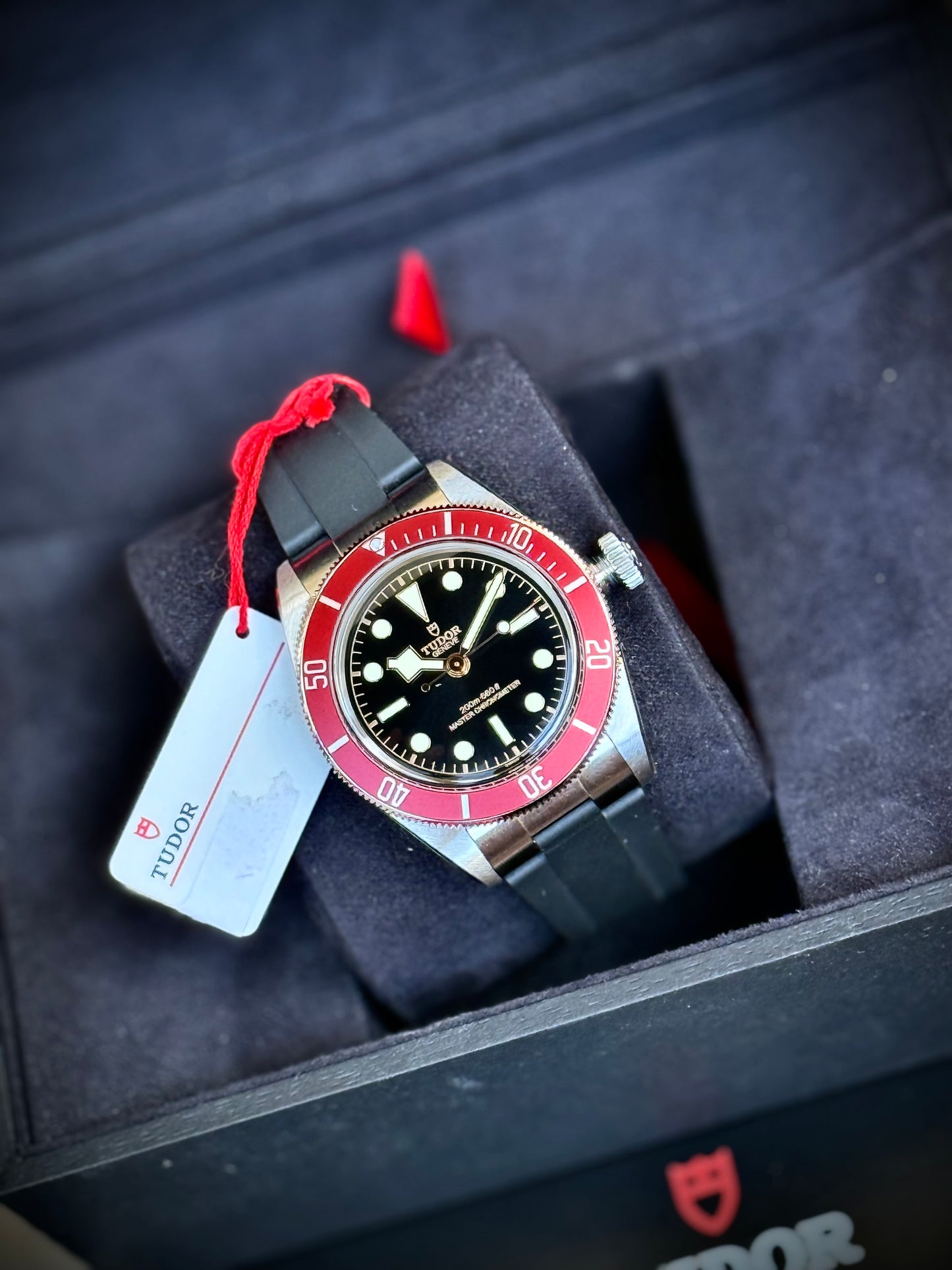 Saldo con permute Tudor Black Bay