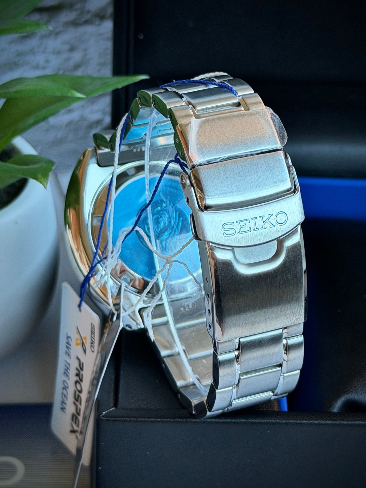 Seiko Turtle Manta Ray