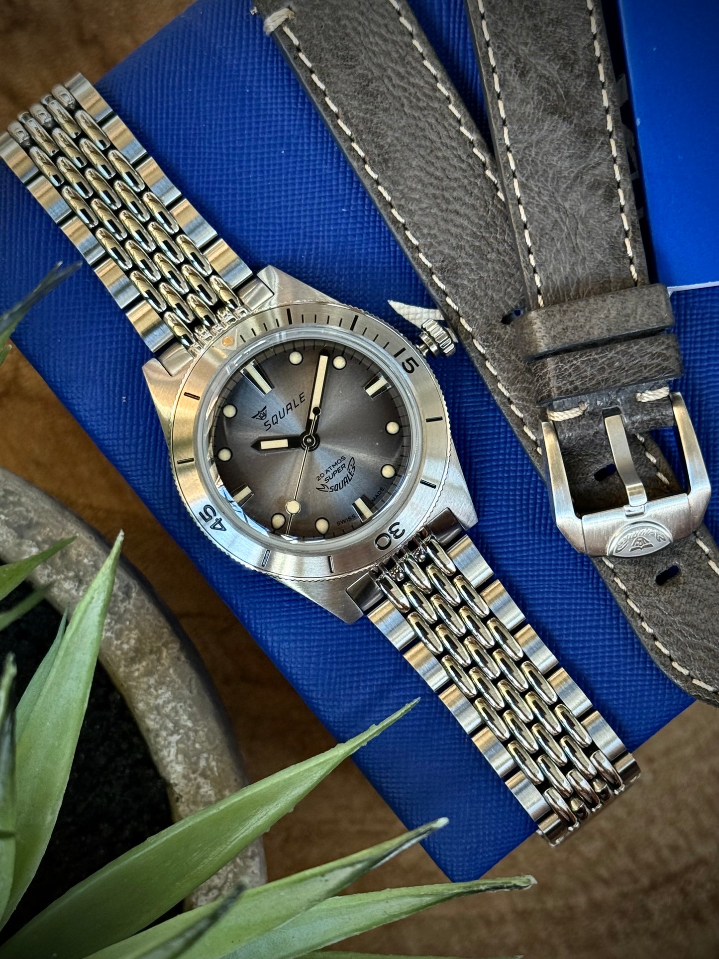 Super Squale Sunray