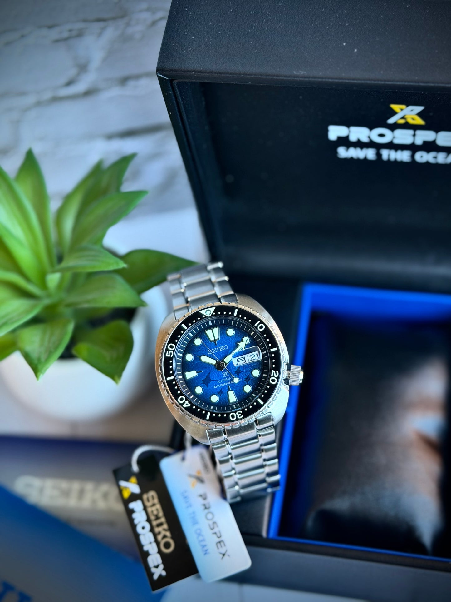 Seiko Turtle Manta Ray