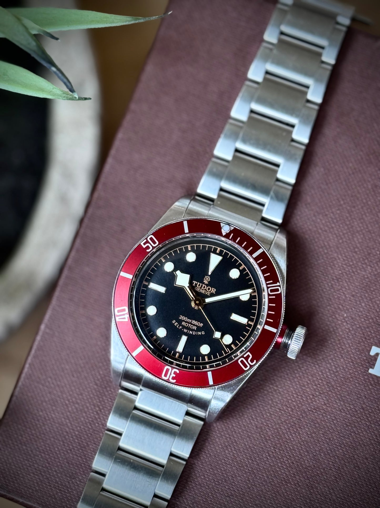 Tudor Black Bay Rosellina