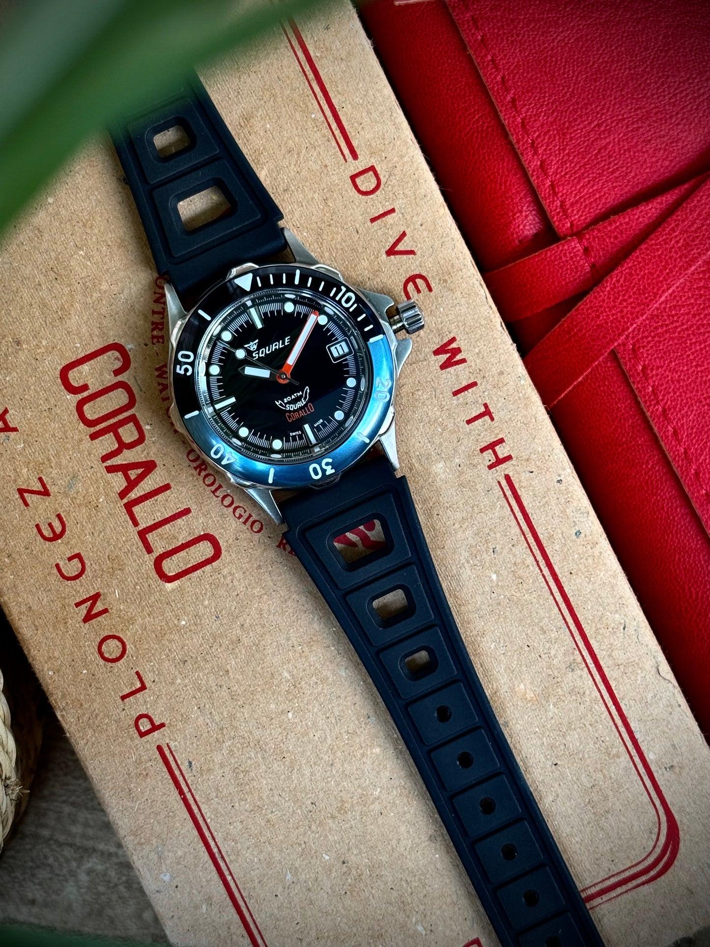 Squale Corallo