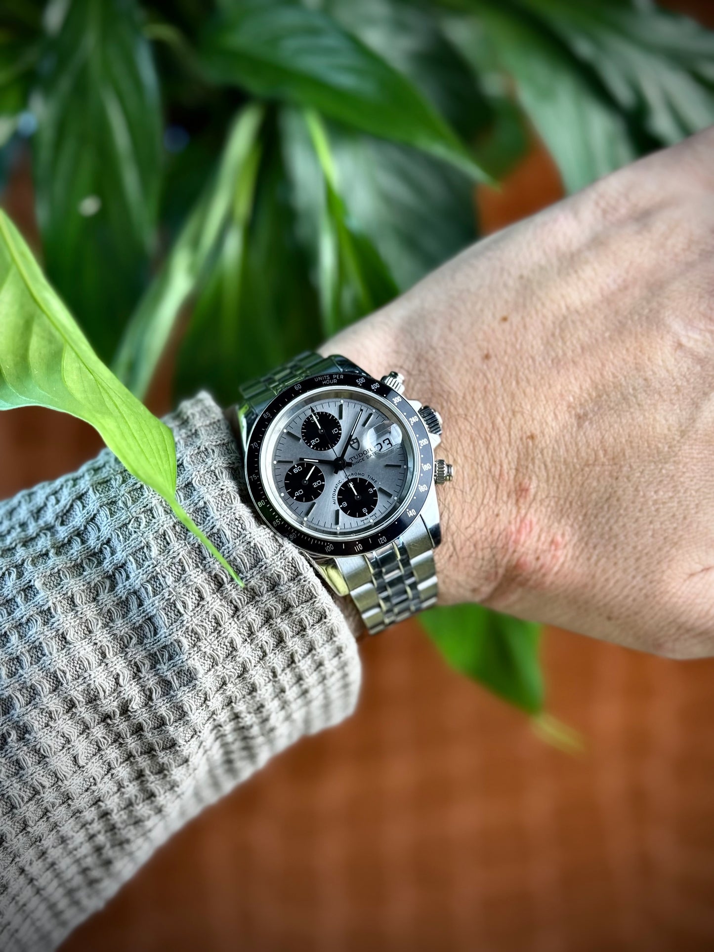 Tudor Prince Ref. 79280
