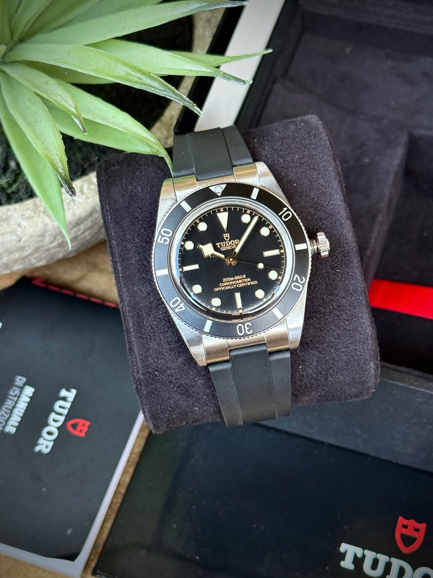 Tudor Black Bay 54