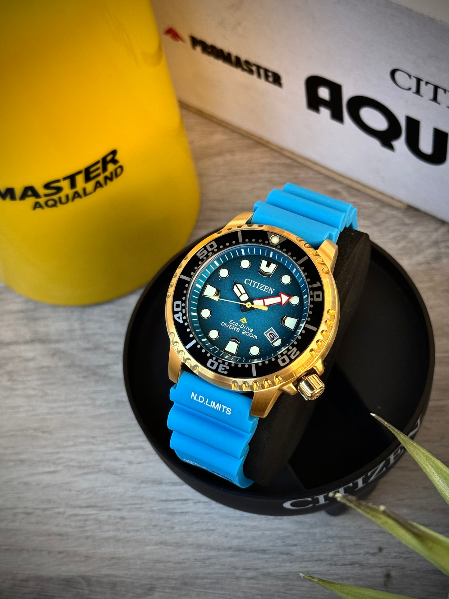 Citizen Promaster