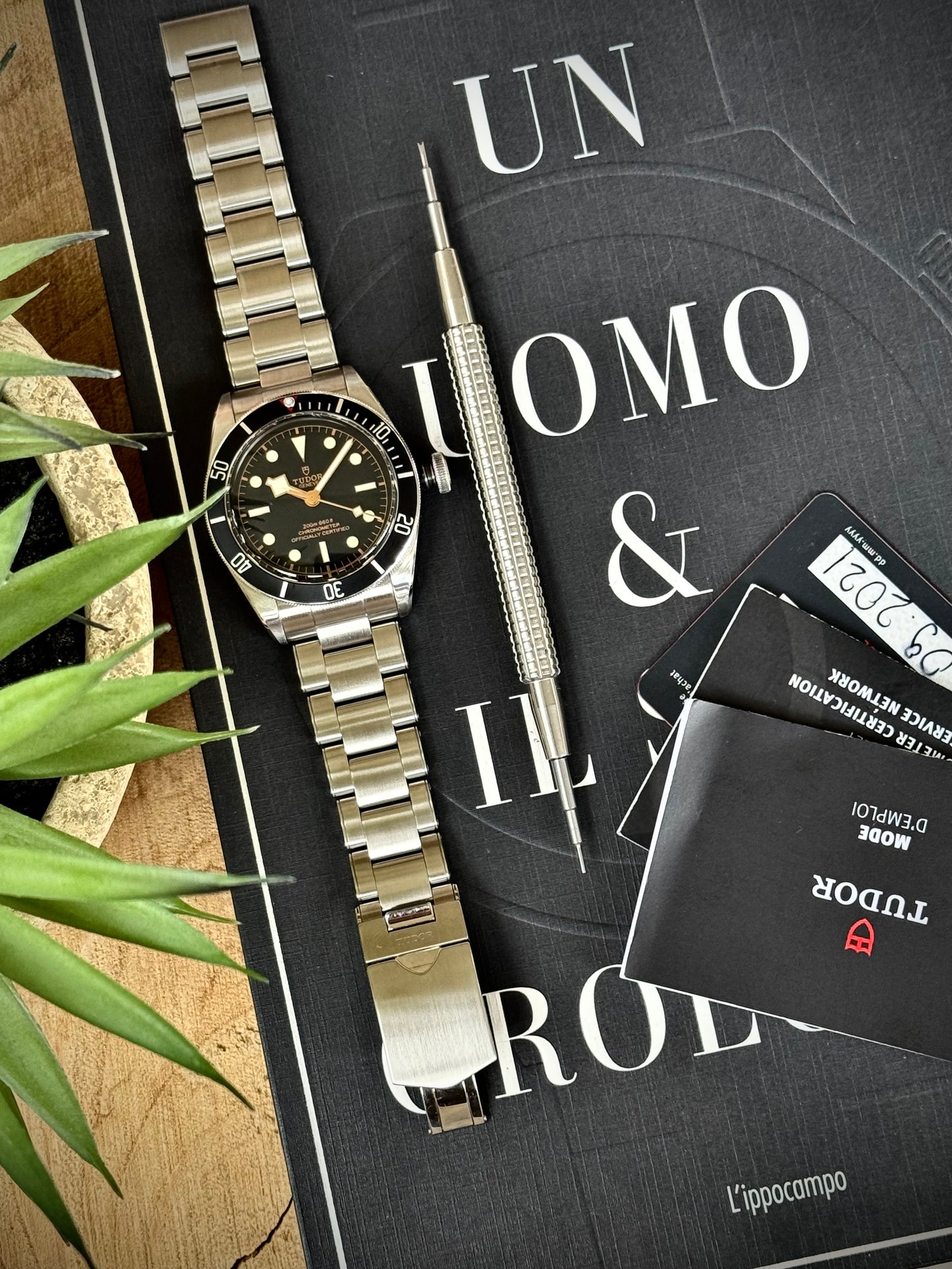 Tudor Black Bay 41 mm