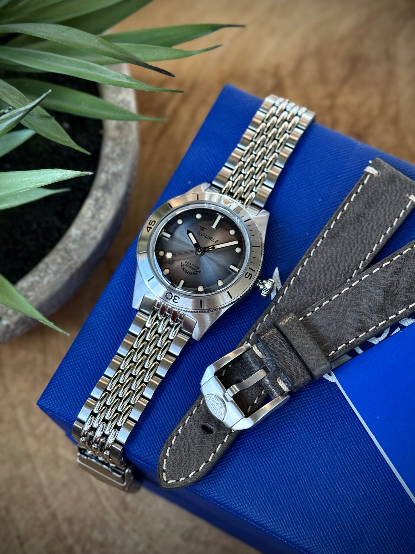 Super Squale Sunray