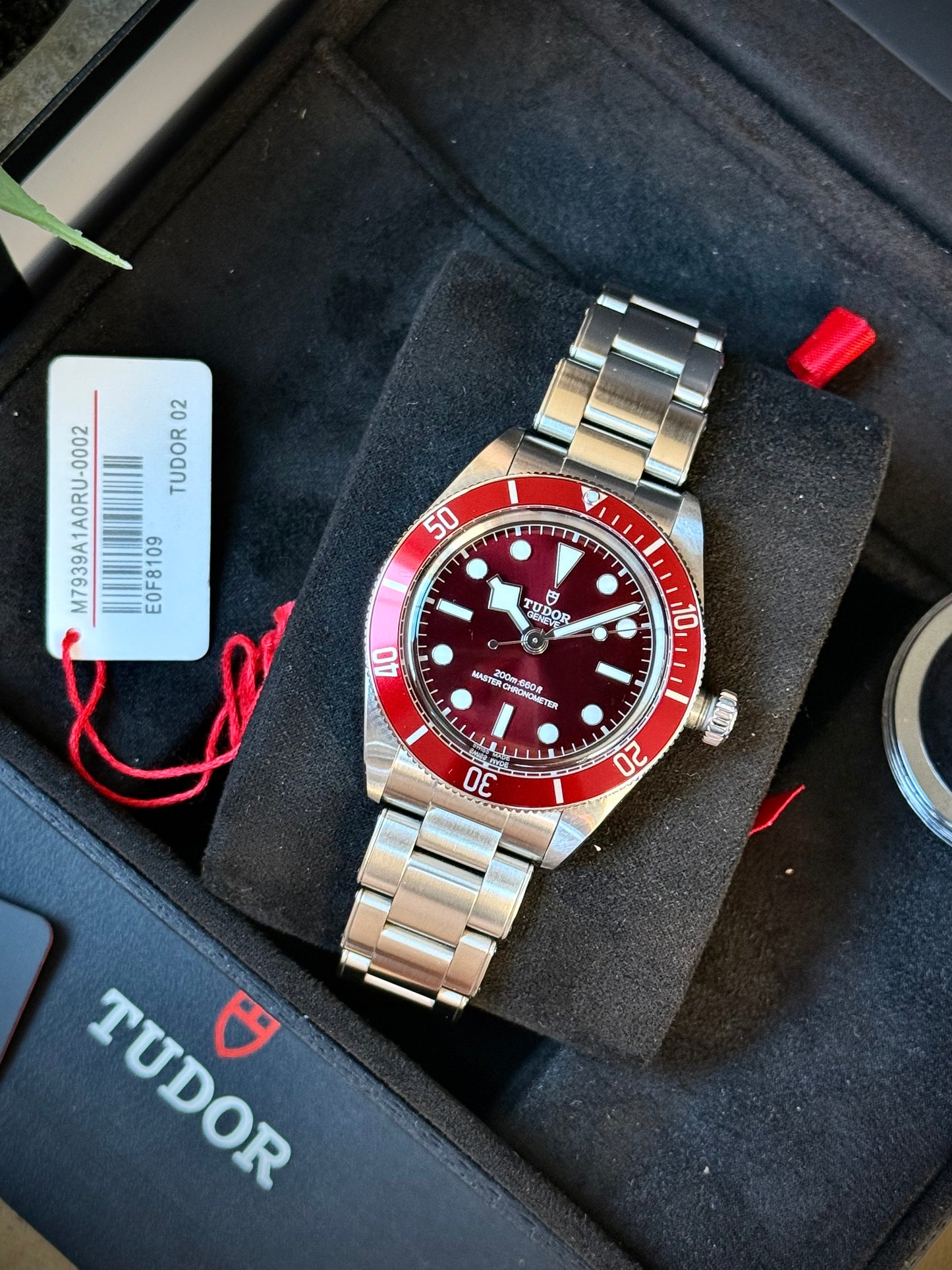Tudor Black Bay 58 Burgundi
