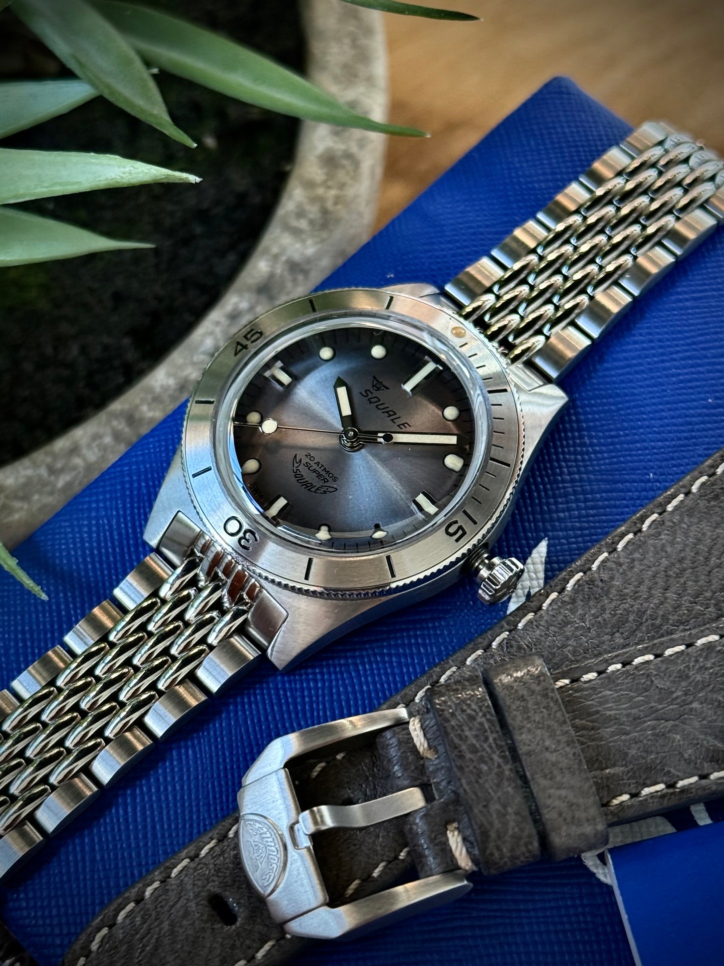 Super Squale Sunray